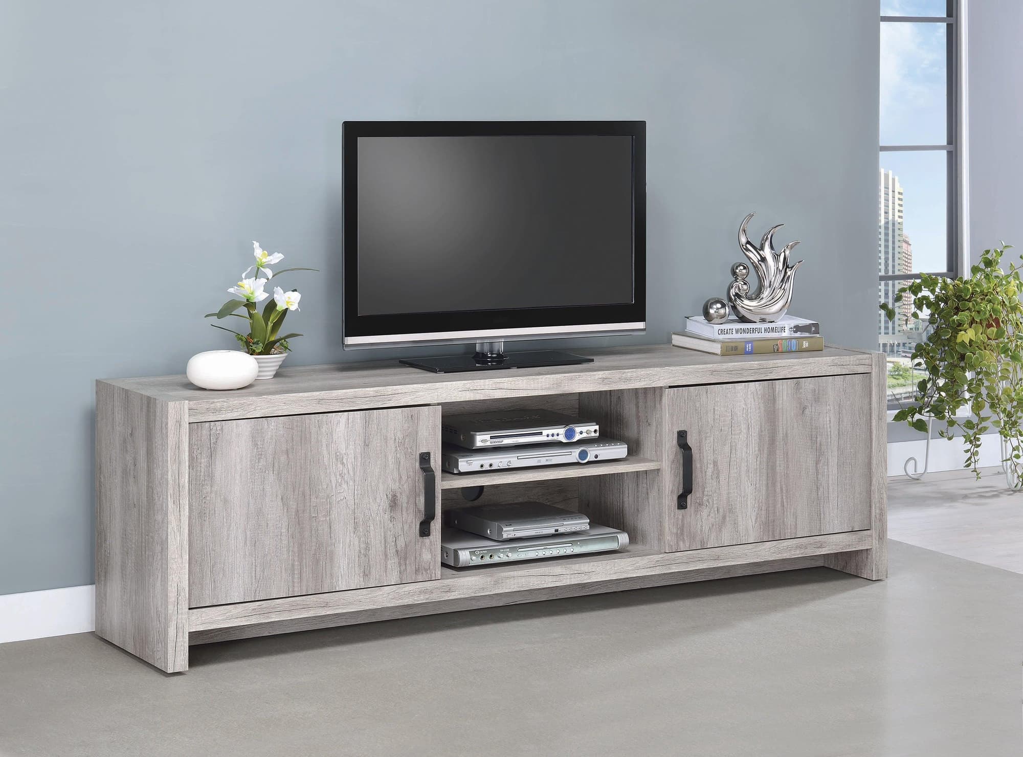 Hays 2 Door TV Console Gray Driftwood - Image 1
