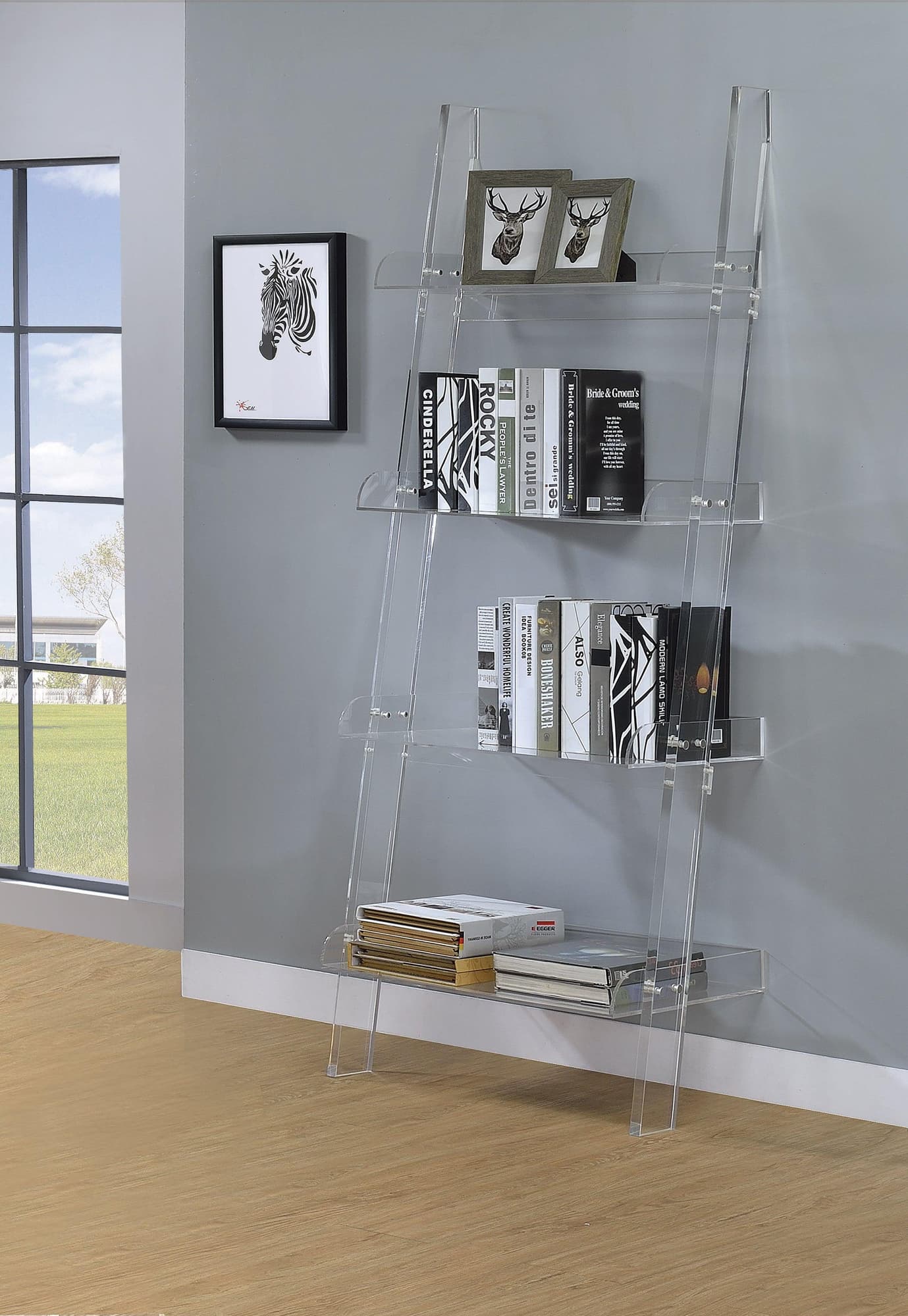 Amaturo 4 Shelf Ladder Bookcase Clear
