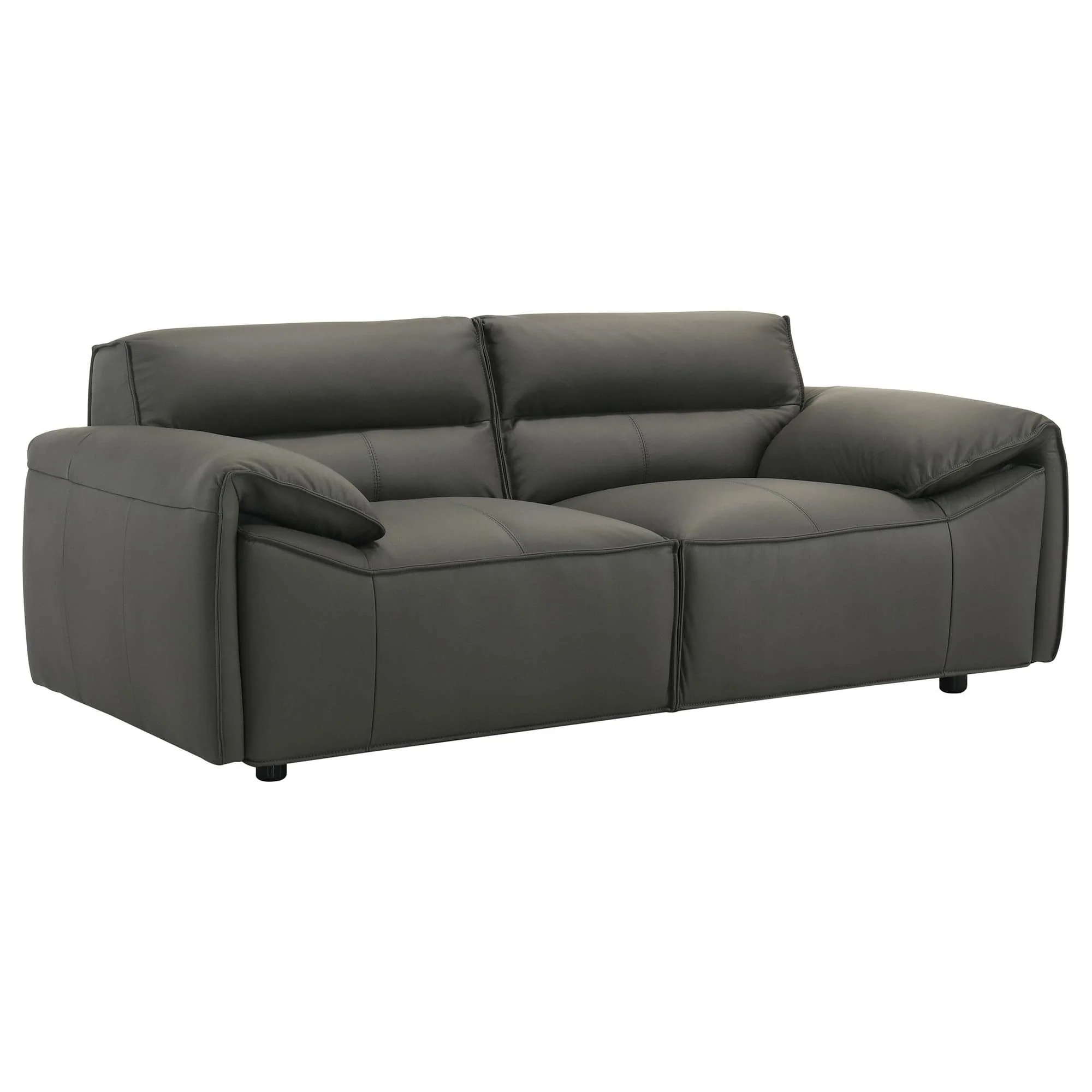 Buxton Top Grain Leather Upholstered Loveseat Graphite - Image 1