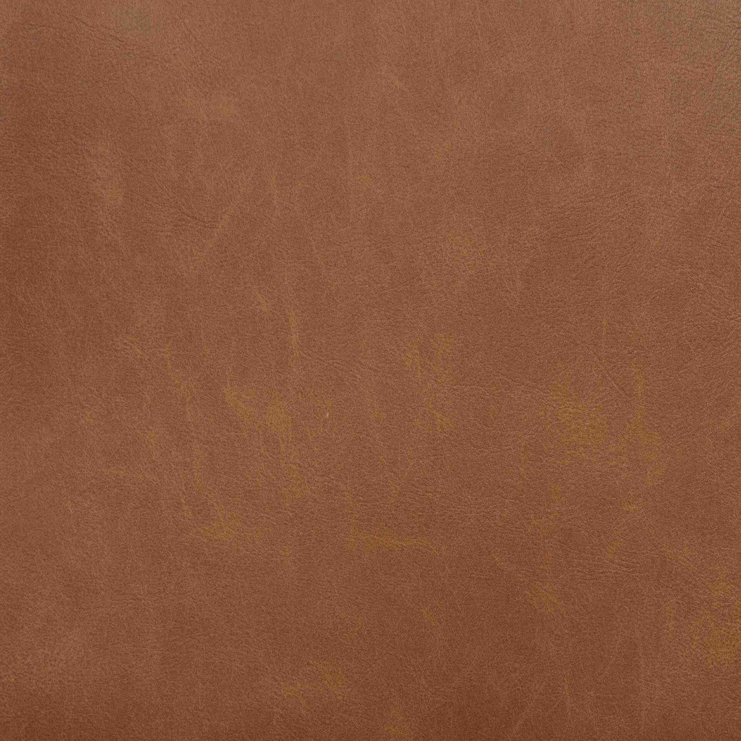 Tegan Faux Leather Upholstered Dining Side Chair Cognac (Set of 2) - Image 3