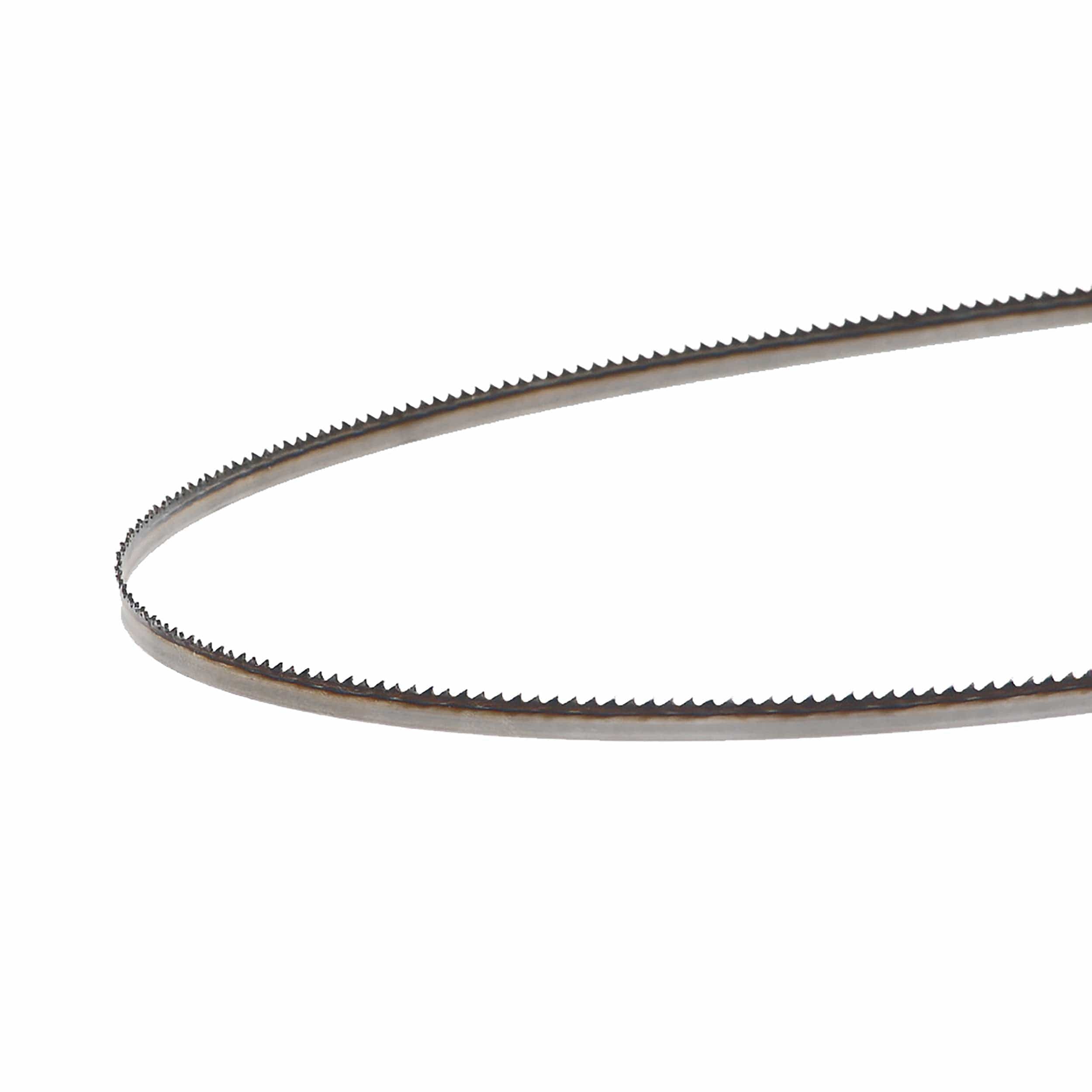 Bandsaw Blade - 93-1/2" x 1/4" x .025" x 10 TPI - Raker - Image 1