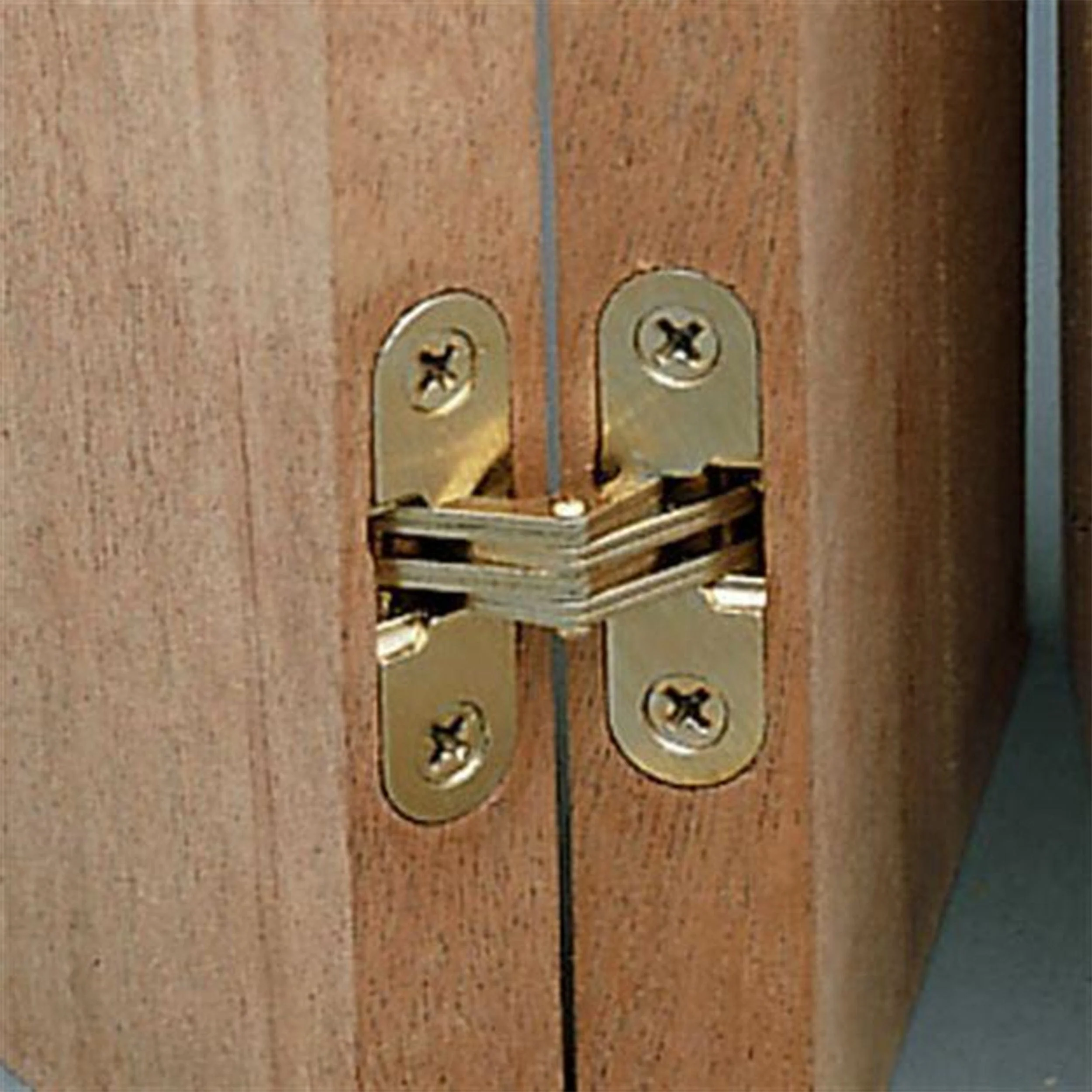 Invisible Hinge - Brass Plated - Pair - Image 2