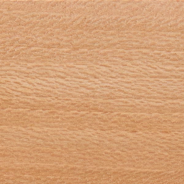 Sycamore Wood Turning Stock - Image 2