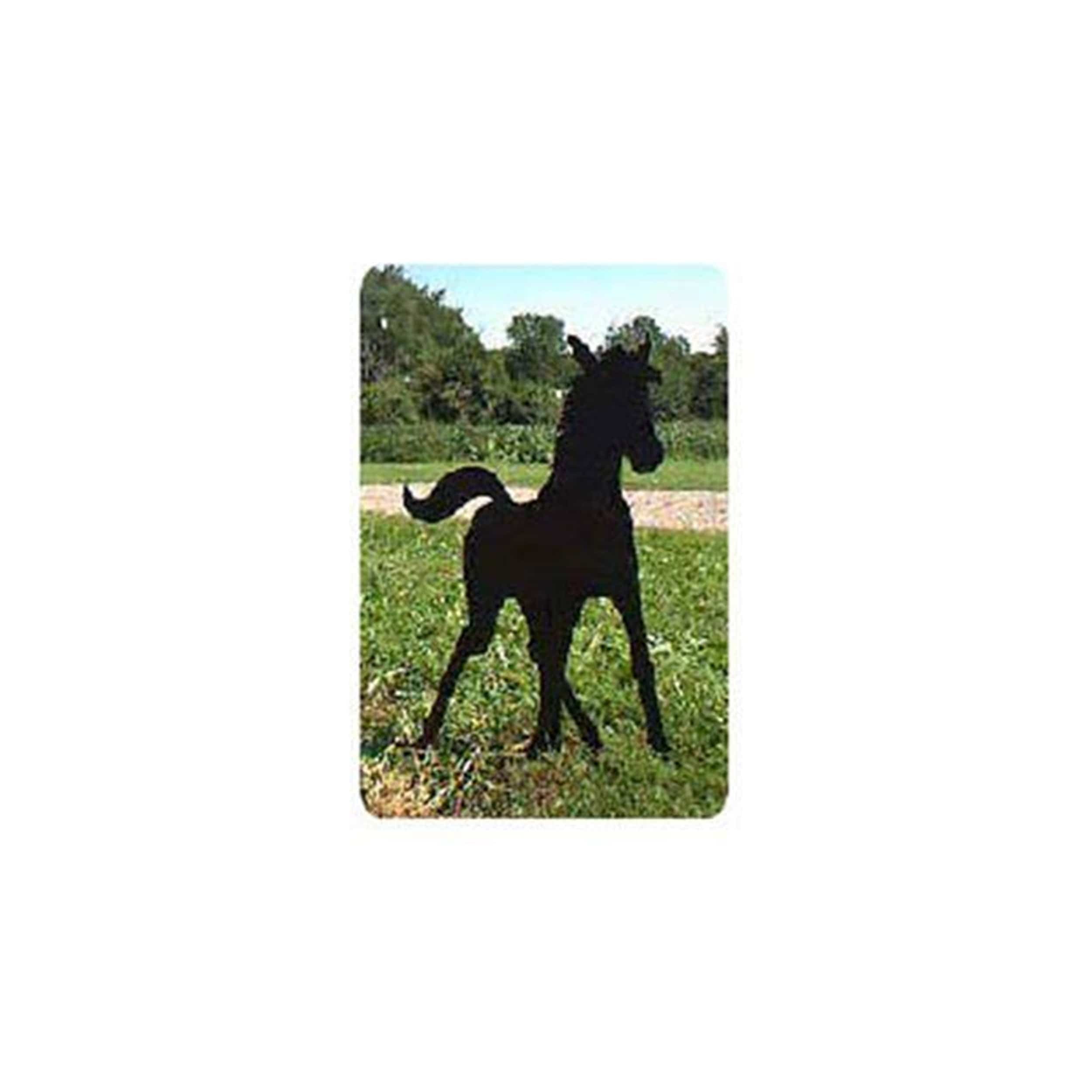 Woodworking Project Paper Plan to Build Spring Foal Shadow - Image 1
