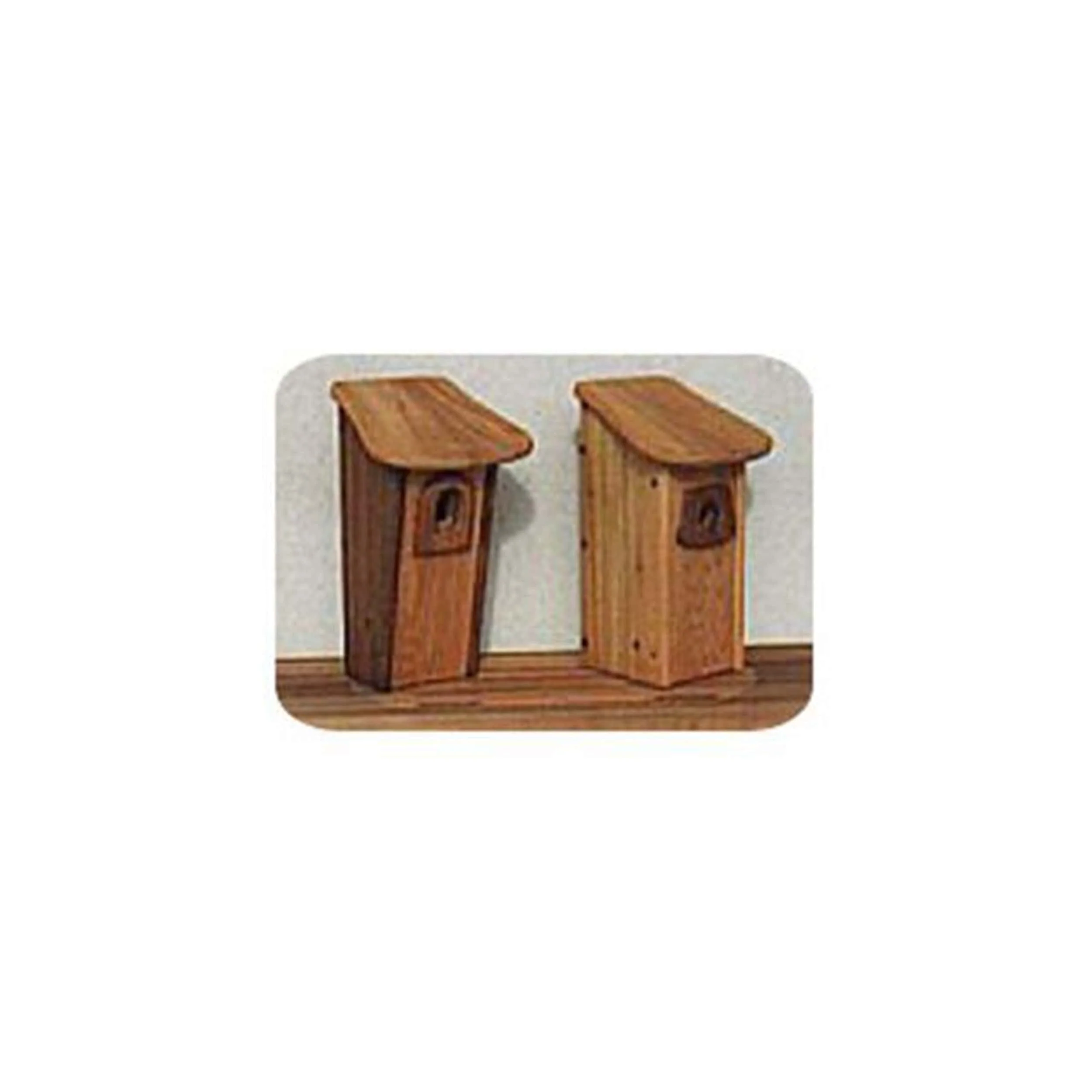 Woodworking Project Paper Plan to Build Blue Bird House - Image 1