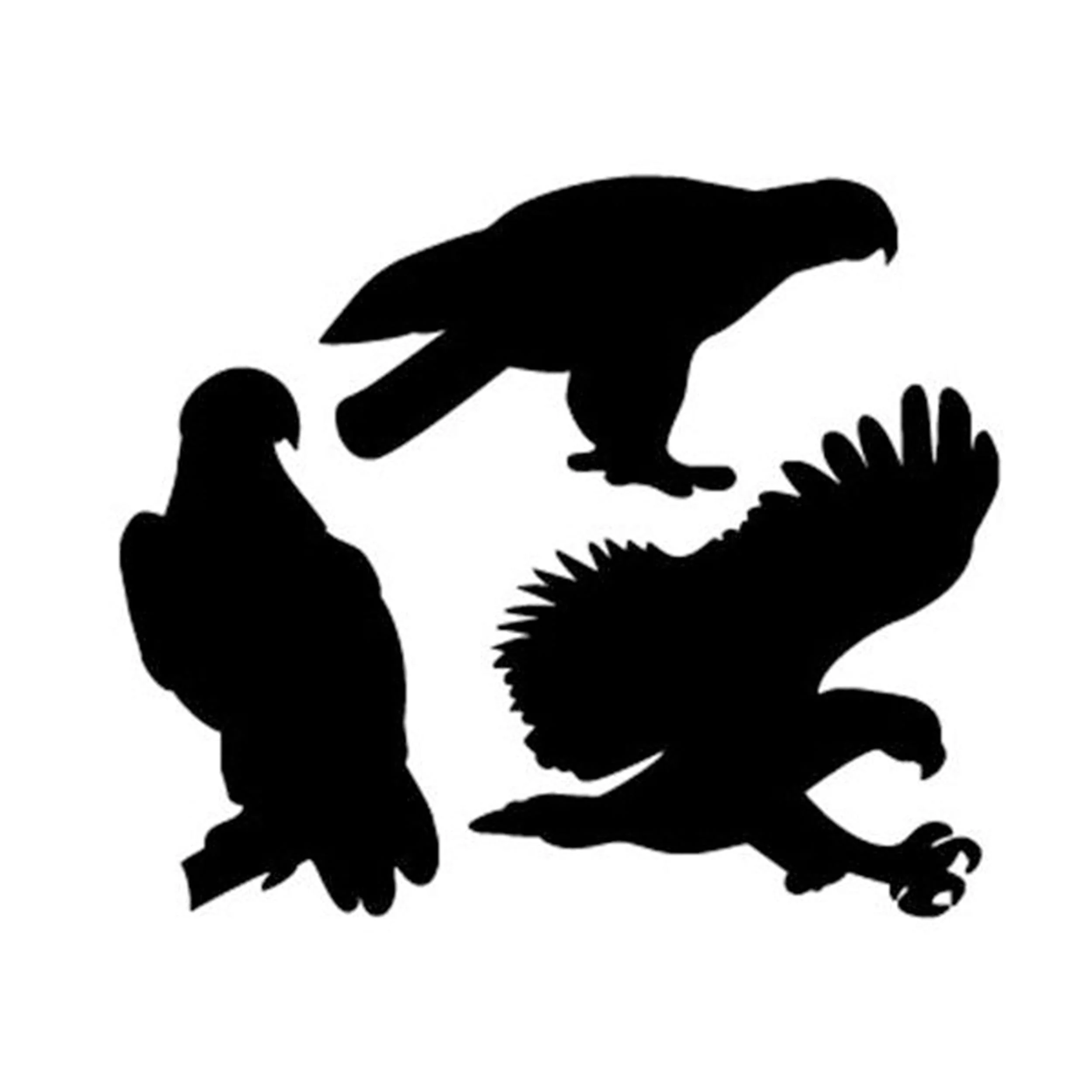 Woodworking Project Paper Plan to Build Eagle Pack of Shadow - Image 1