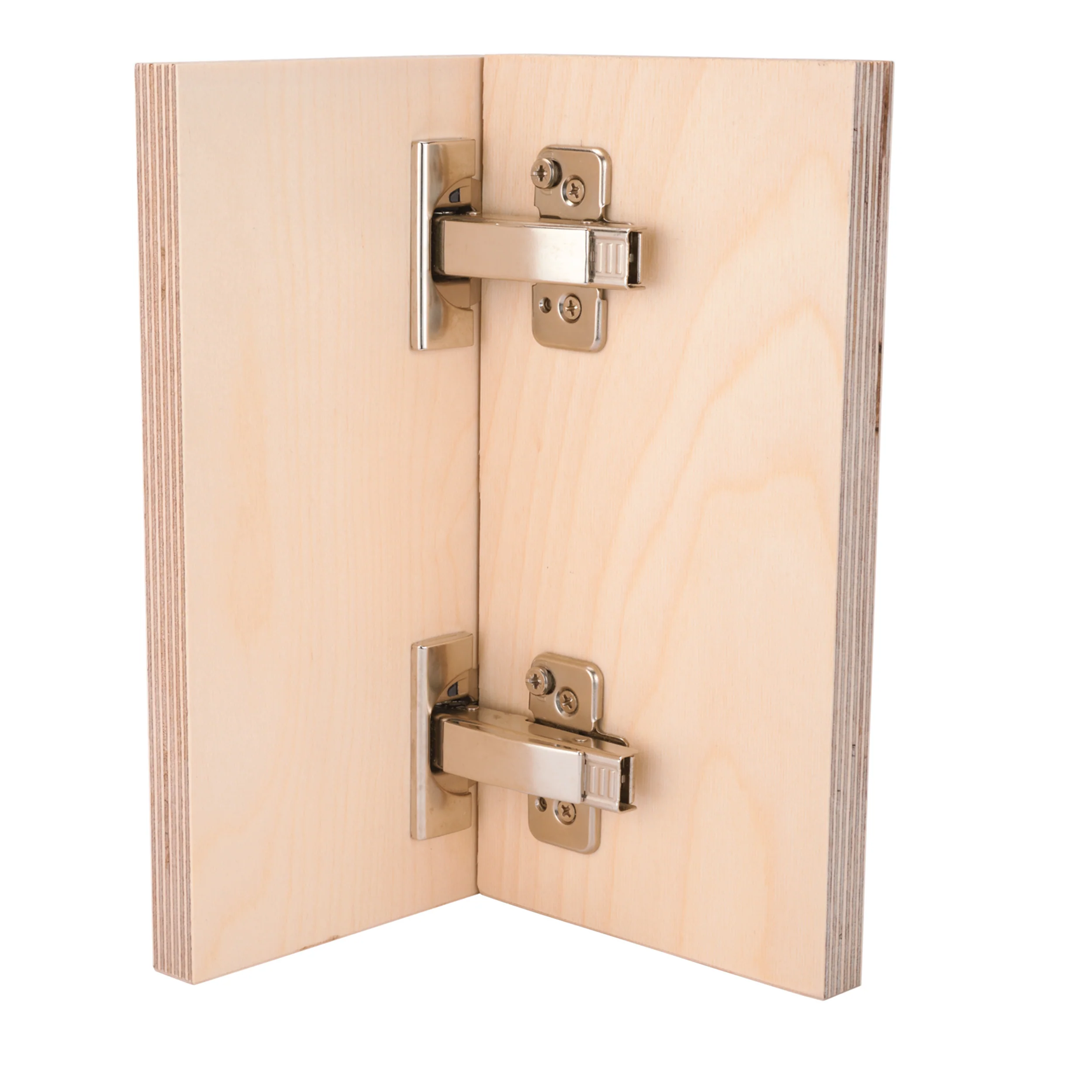 Clip Top Hinges for Frameless Cabinets – Full Overlay – 110 Degree with BLUMOTION – 1 Pair
