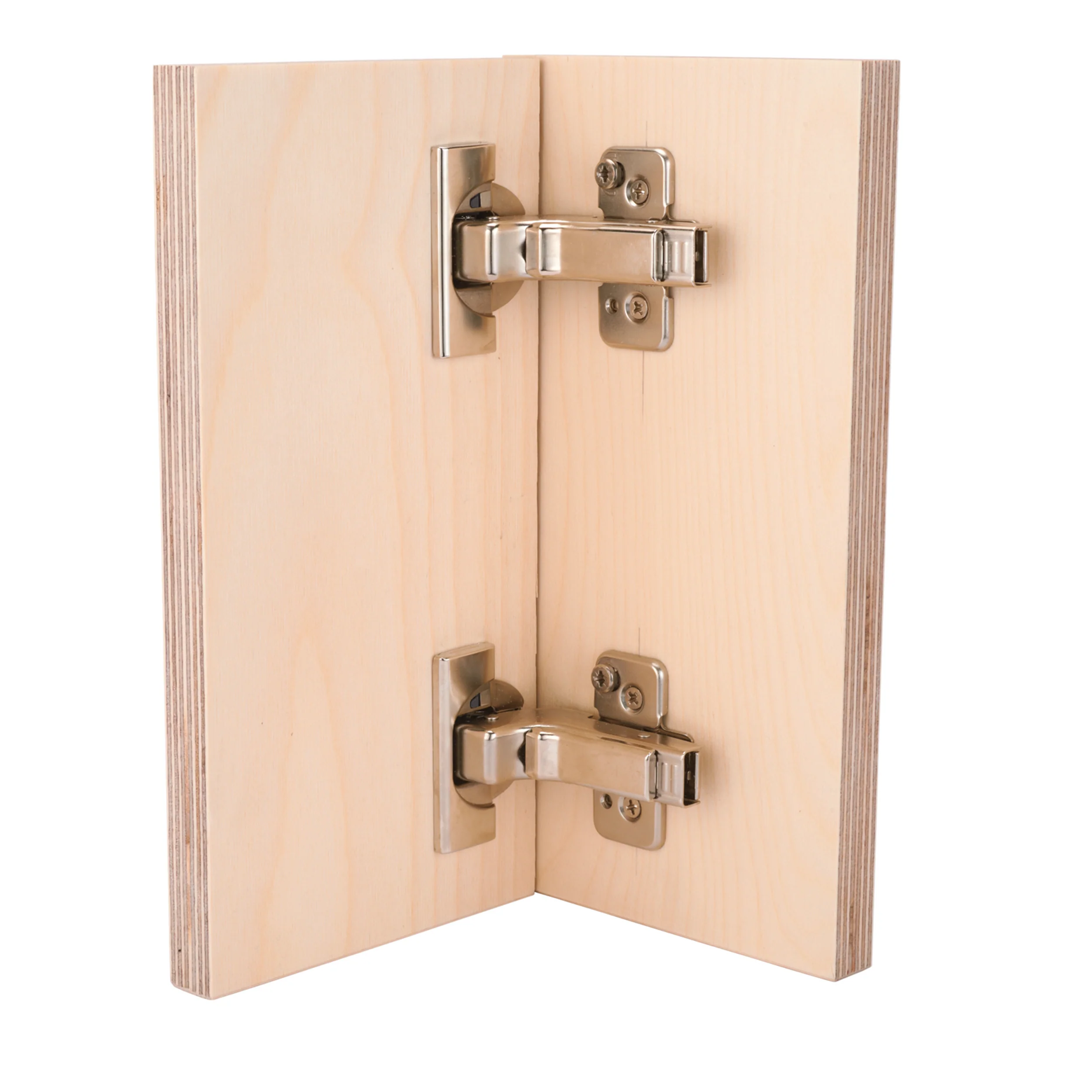 Clip Top Frameless Hinges – Inset Overlay – 110 Degree with BLUMOTION – 1 Pair