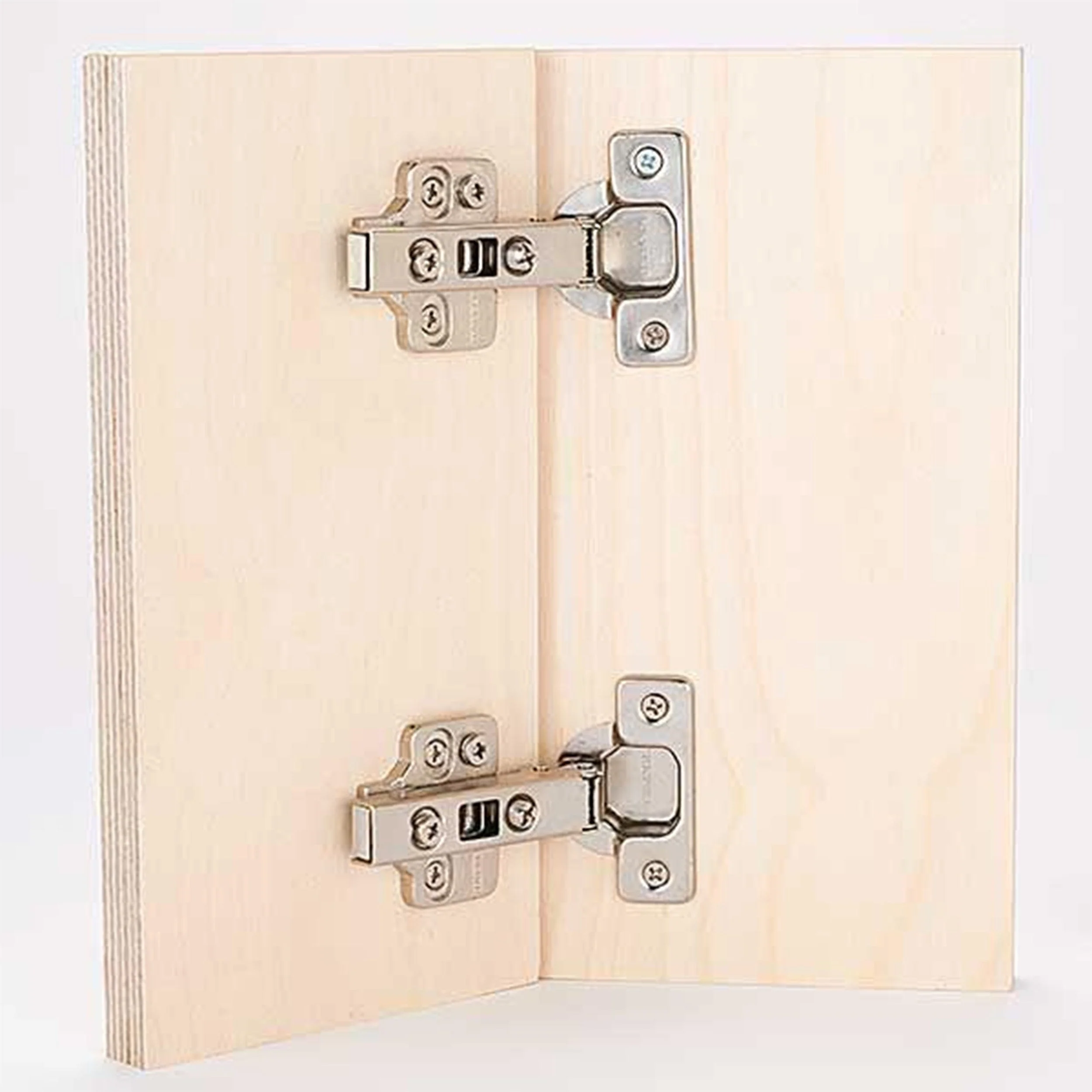 Frameless Hinge - Pair - Image 1