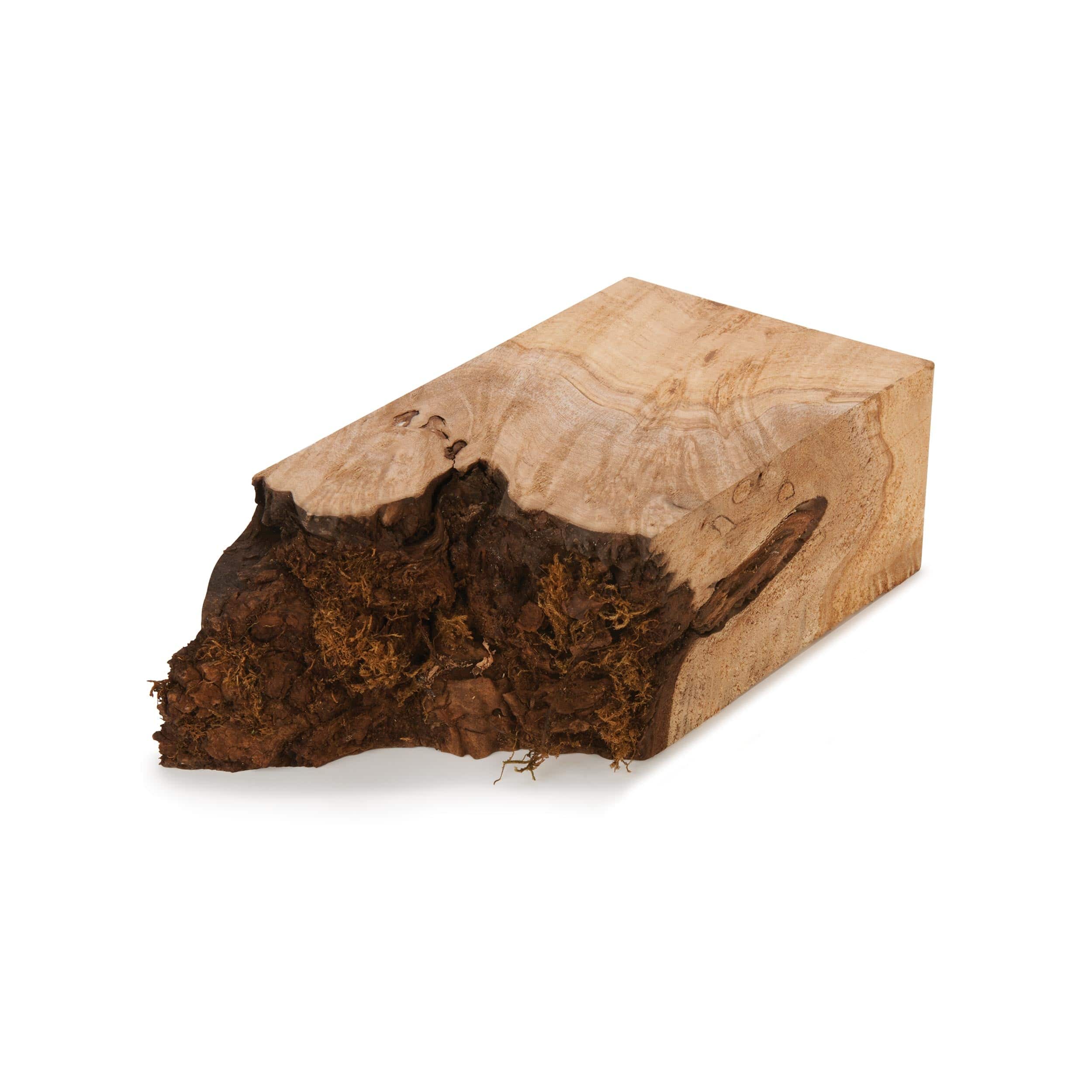 Big Leaf Maple Burl Wood Turning Stock - Image 1