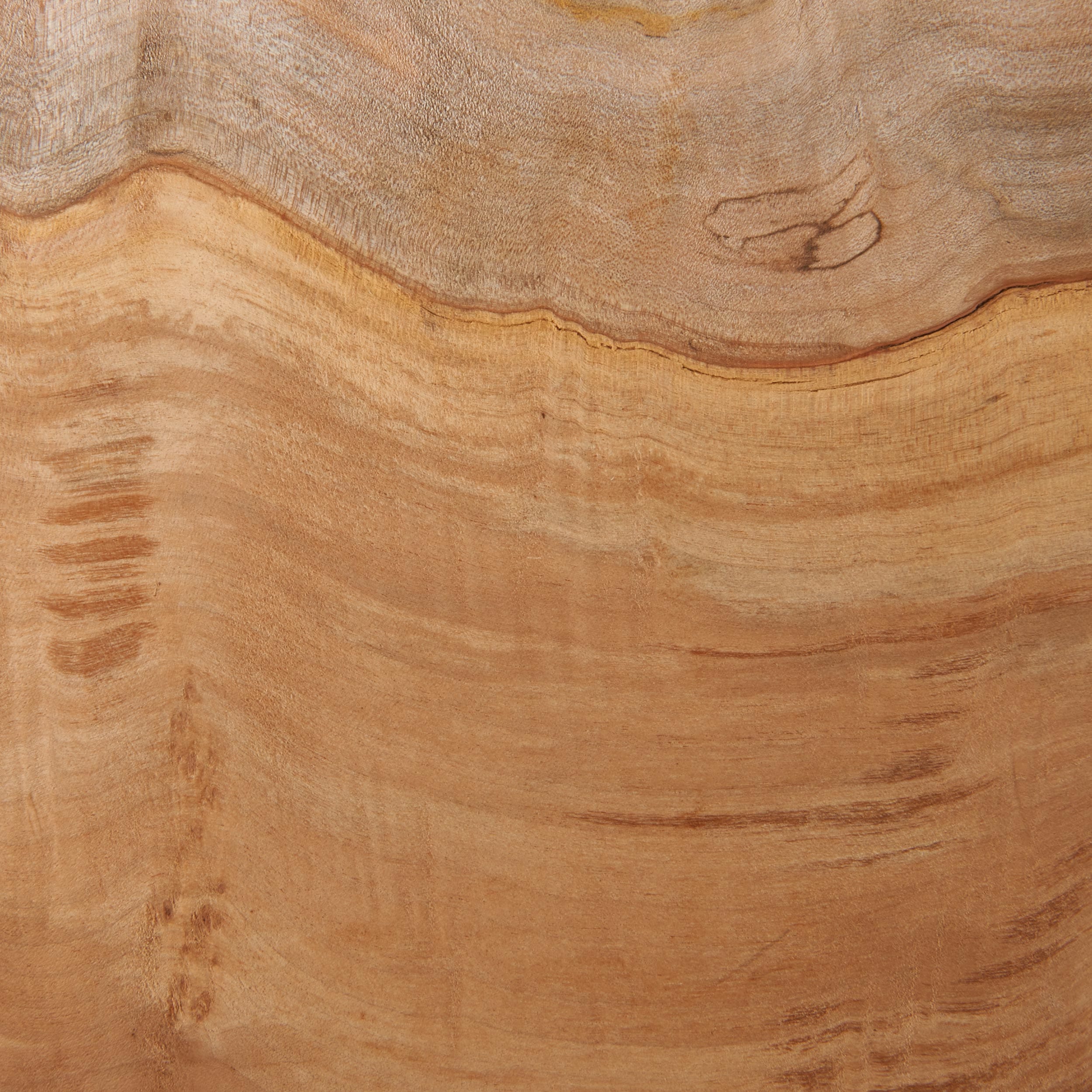 Big Leaf Maple Burl Wood Turning Stock - Image 2