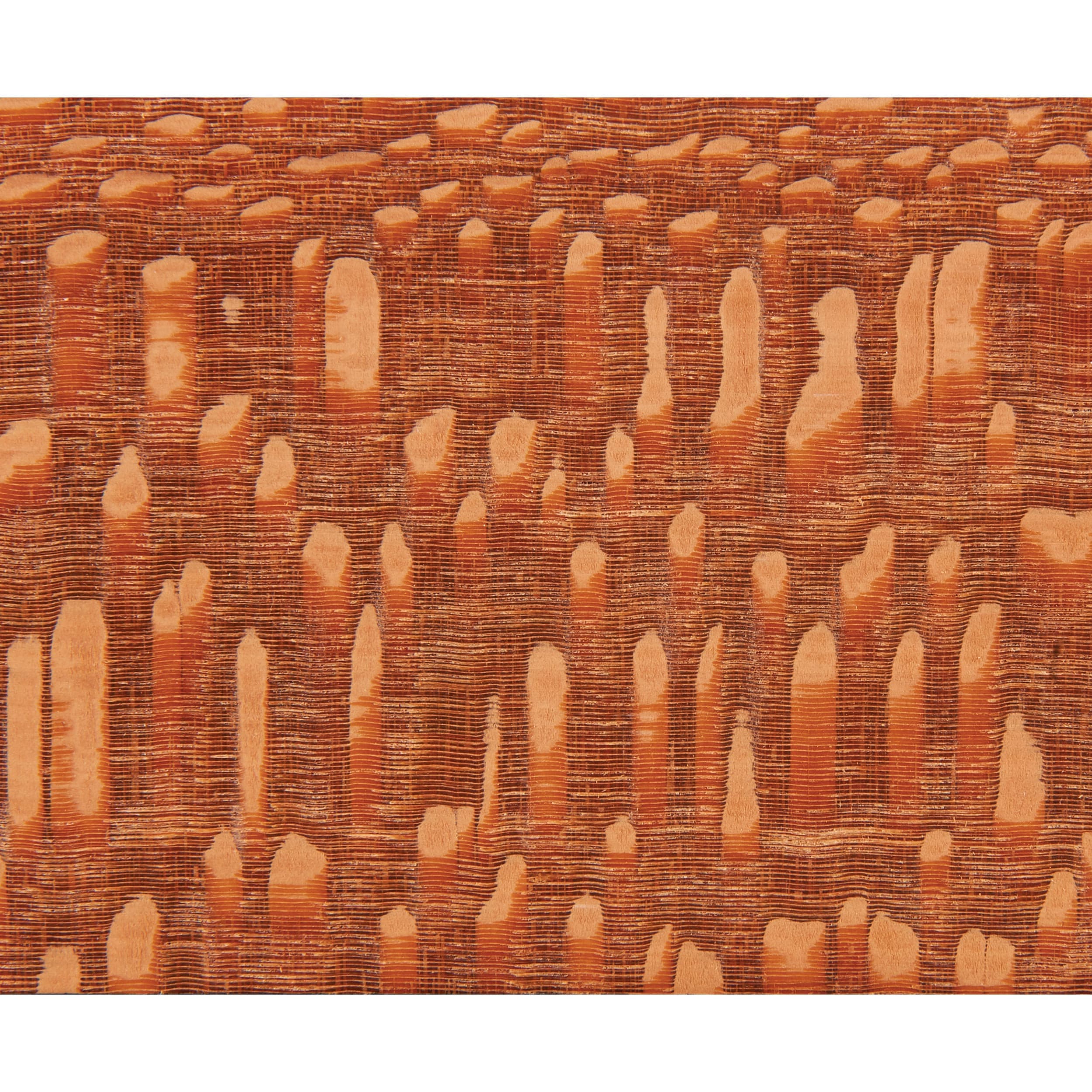 Leopardwood Wood Turning Stock - Image 2