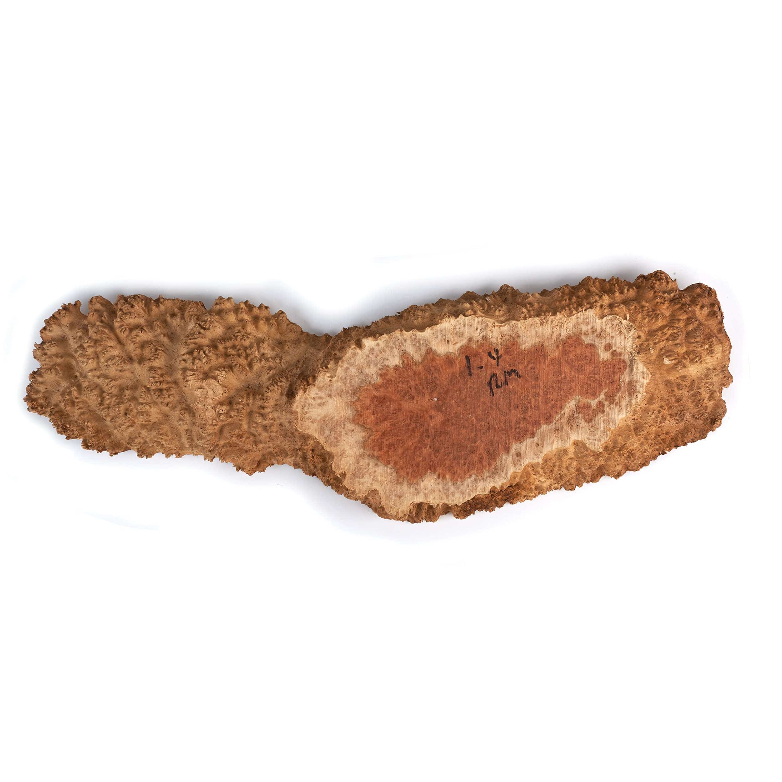 Australian Red Mallee Burl Slice - 1 kg - 2 kg - Image 1