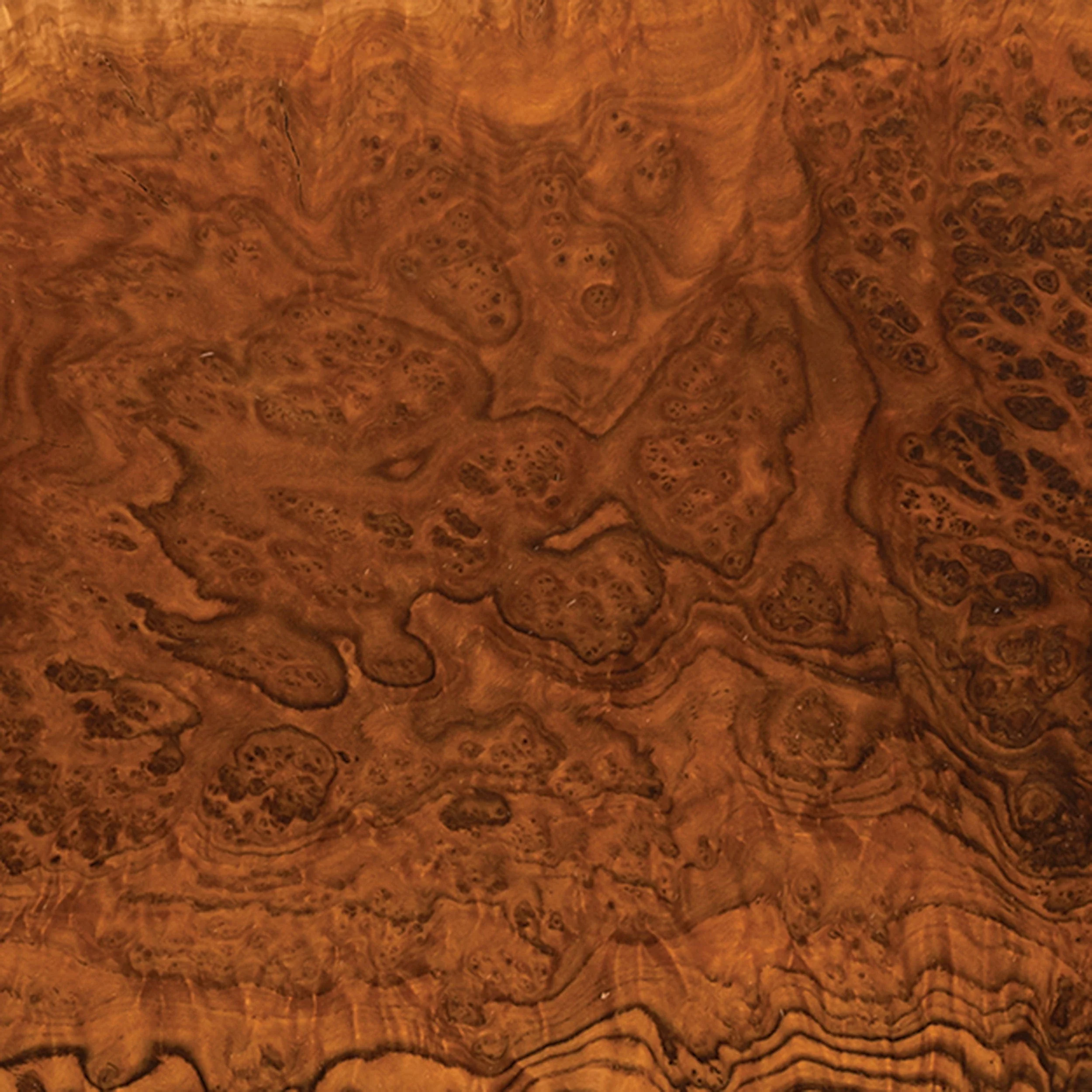 Australian Brown Mallee Burl Slice - 2 kg - 4 kg - Image 2
