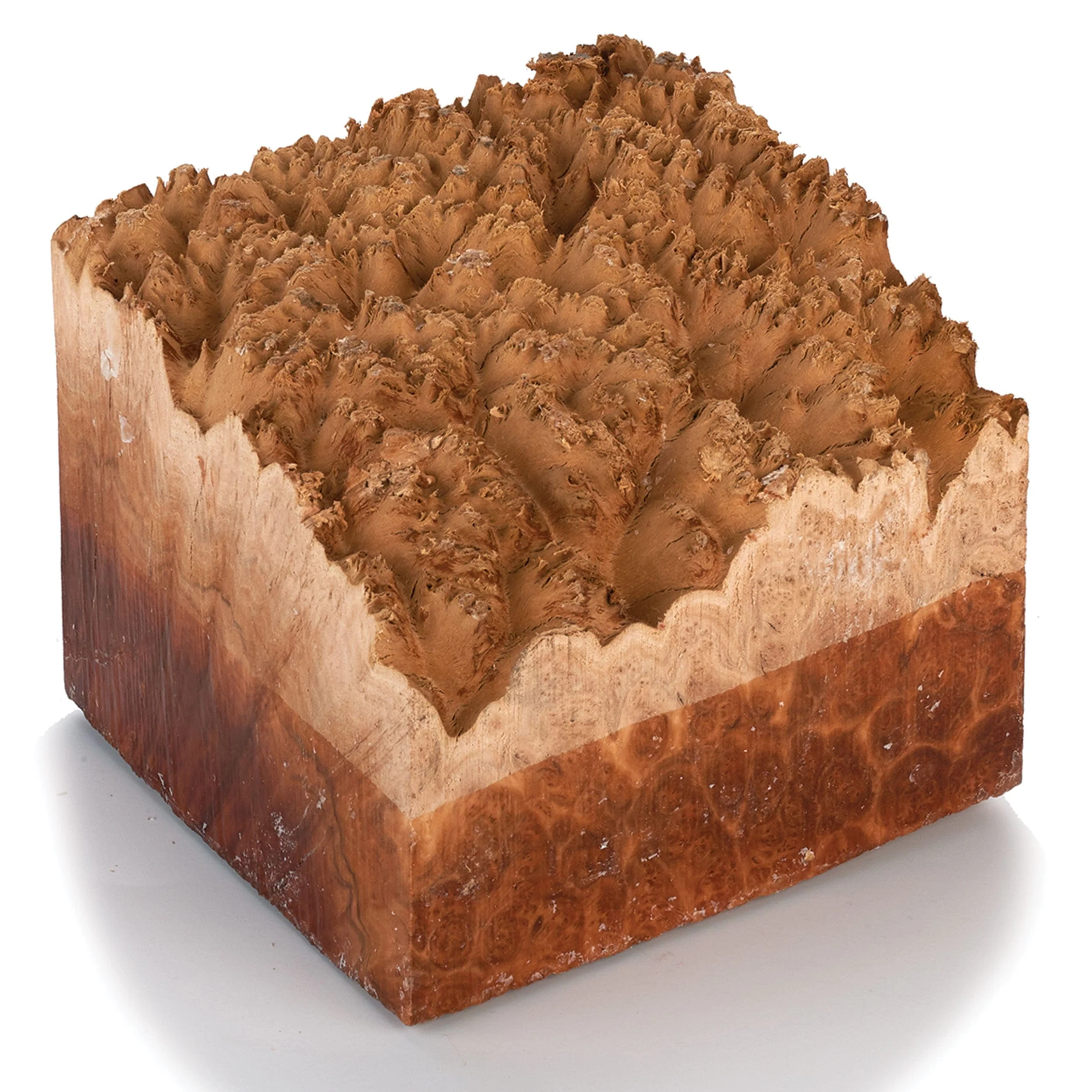 Australian Red Mallee Burl Turning Blank - 2 kg - 4 kg - Image 1