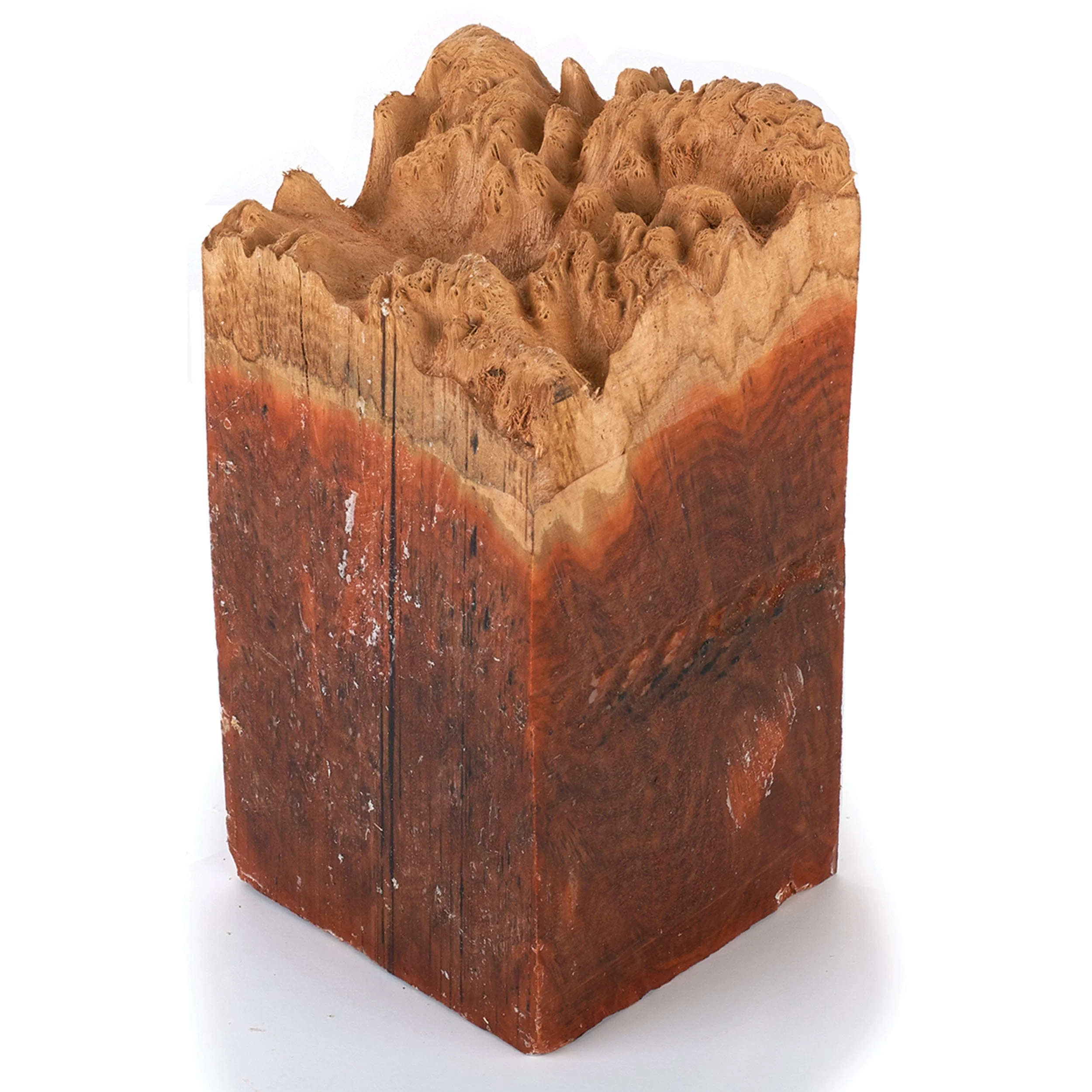 Australian Red Coolibah Burl Turning Blank - 2 kg - 4 kg - Image 1