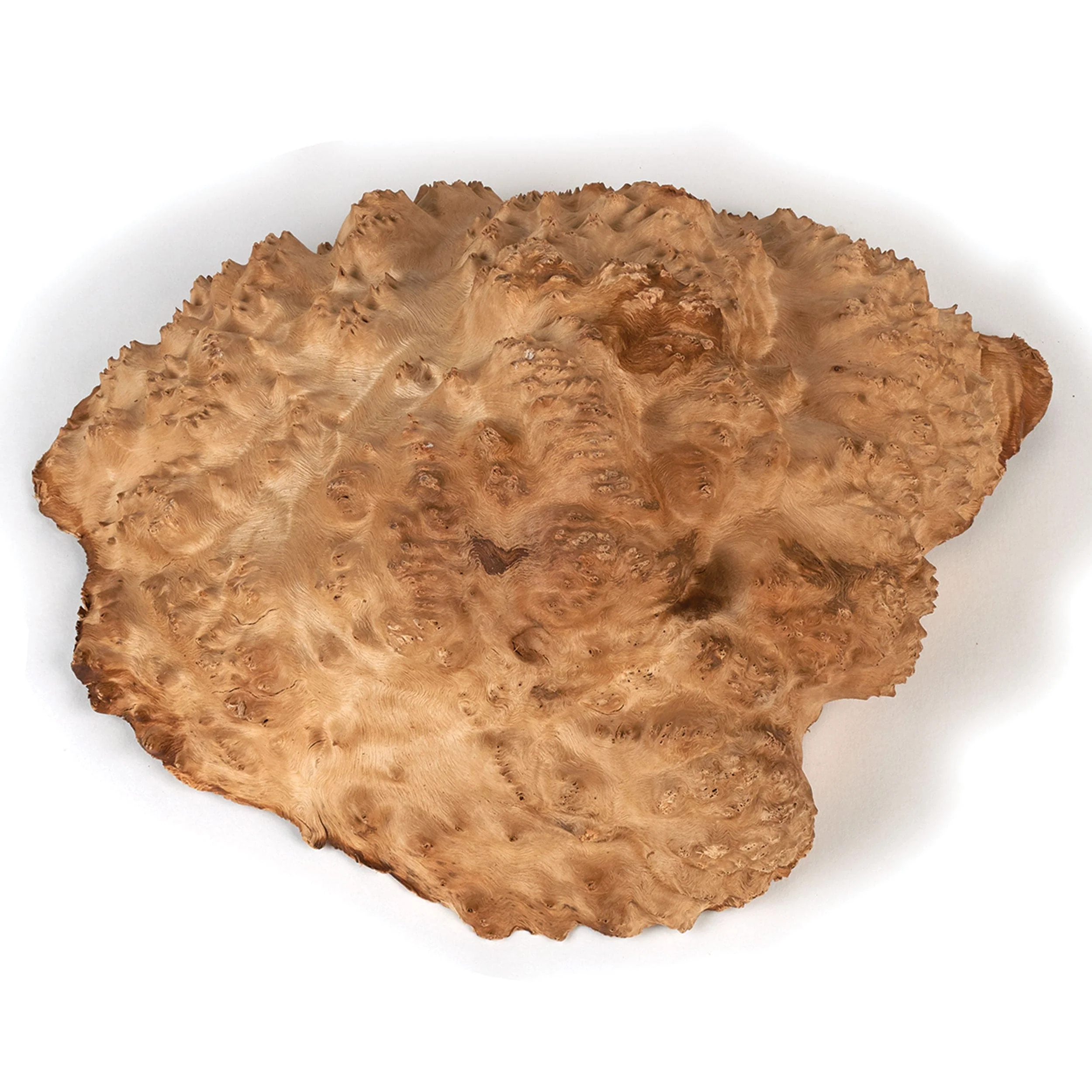 Australian Red Mallee Burl Cap - 2 kg - 4 kg - Image 1