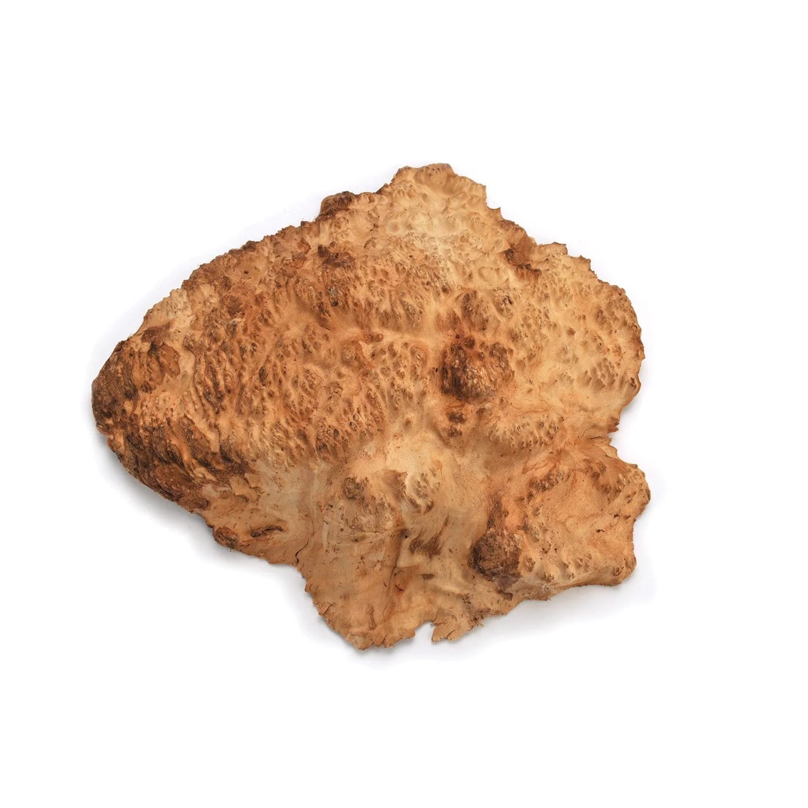 Australian Brown Mallee Burl Cap - 1 kg - 2 kg - Image 1