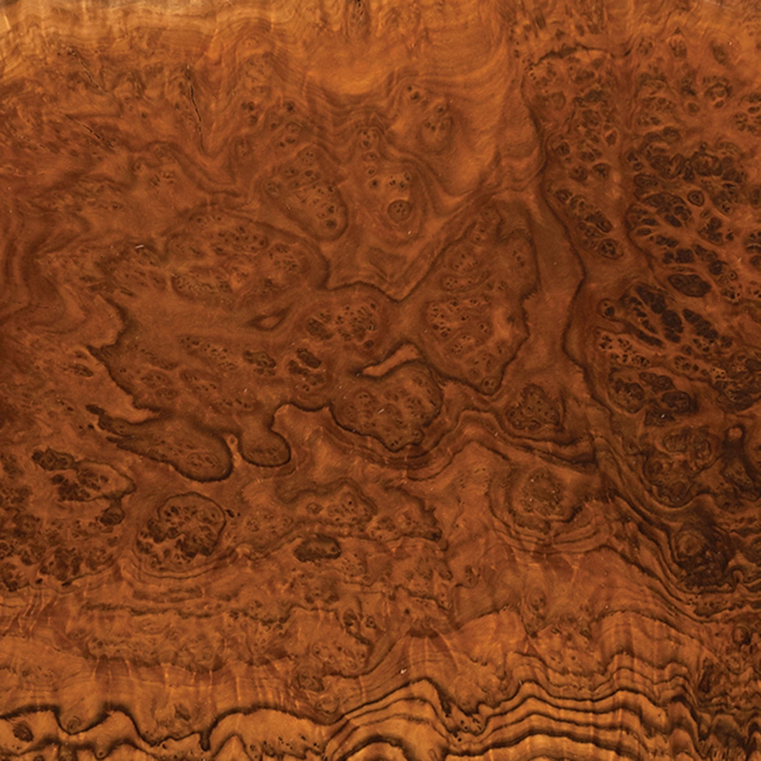 Australian Brown Mallee Burl Cap - 1 kg - 2 kg - Image 2