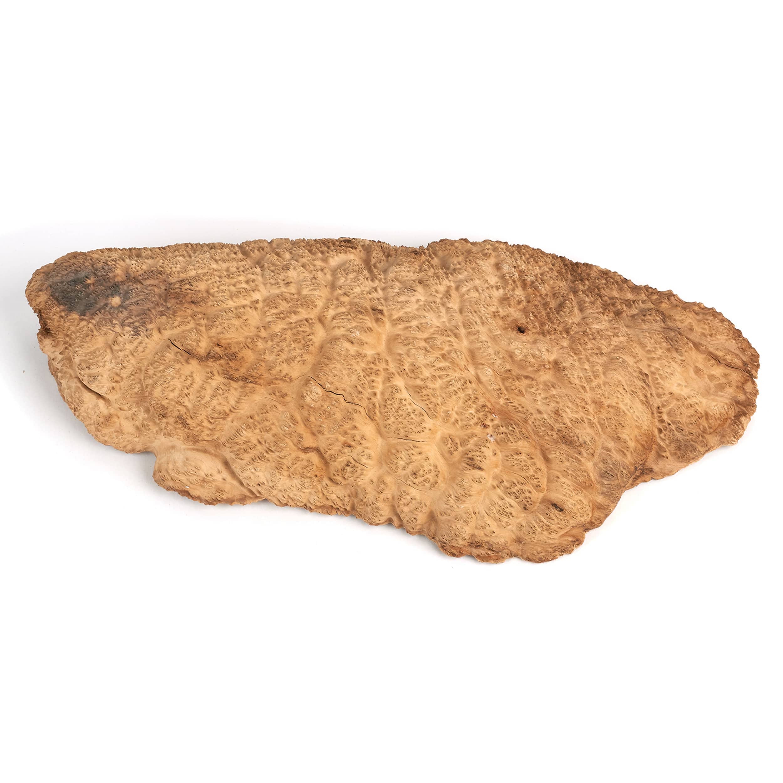 Australian Brown Mallee Burl Cap – 2 kg – 4 kg