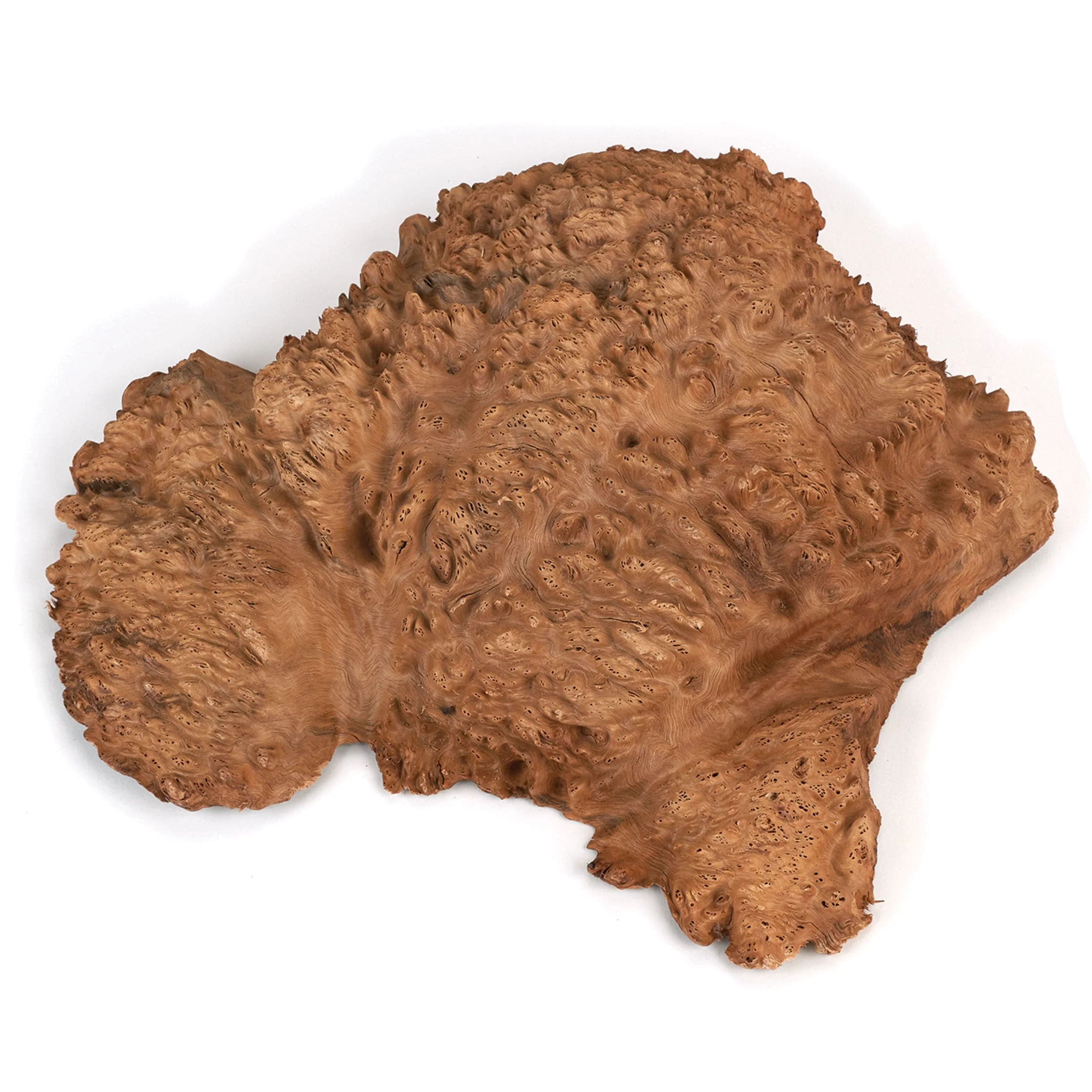 Australian Red Coolibah Burl Cap - 2 kg - 4 kg - Image 1