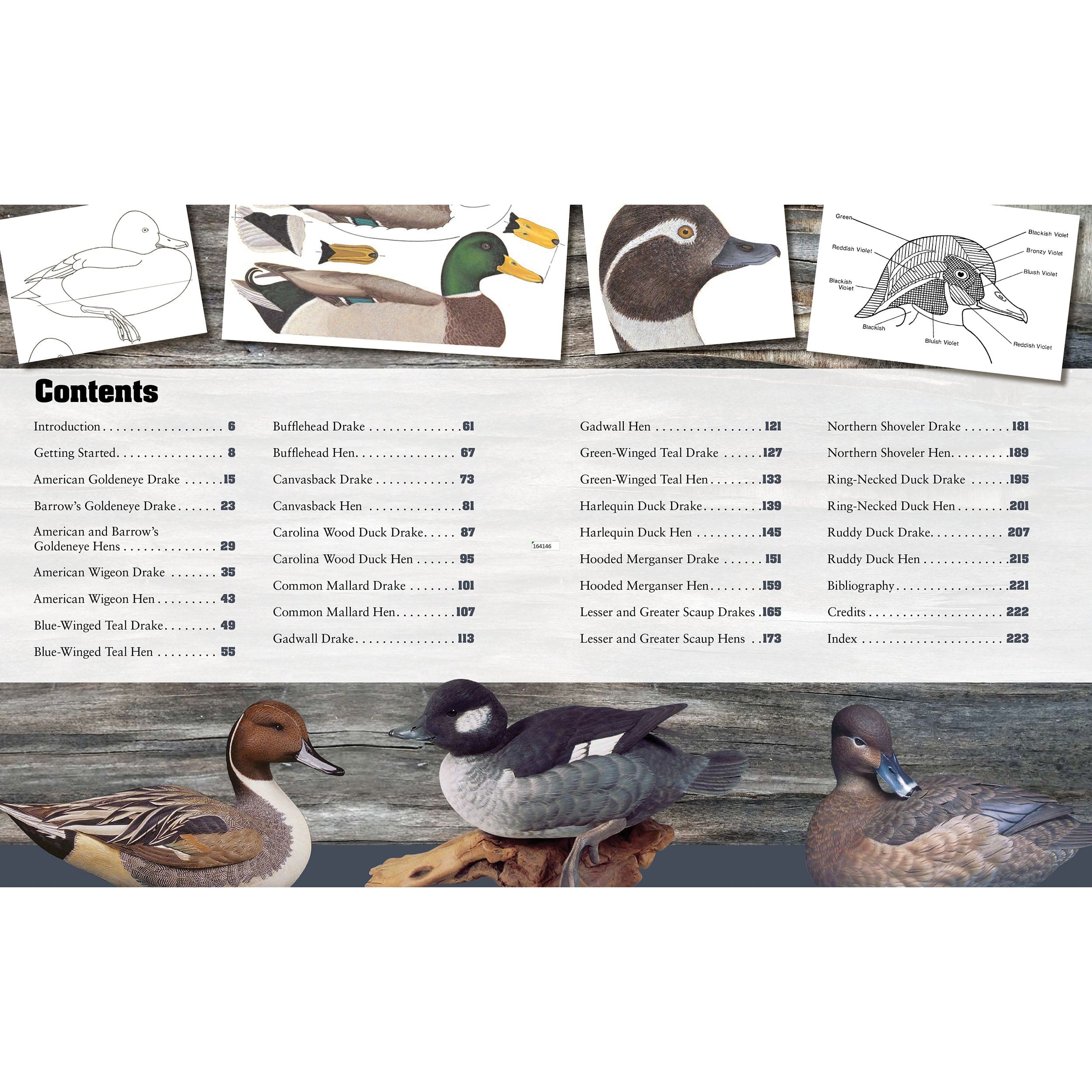 Decorative Decoy Carver's Ultimate Painting and Pattern Portfolio, Revised Edition - Image 3