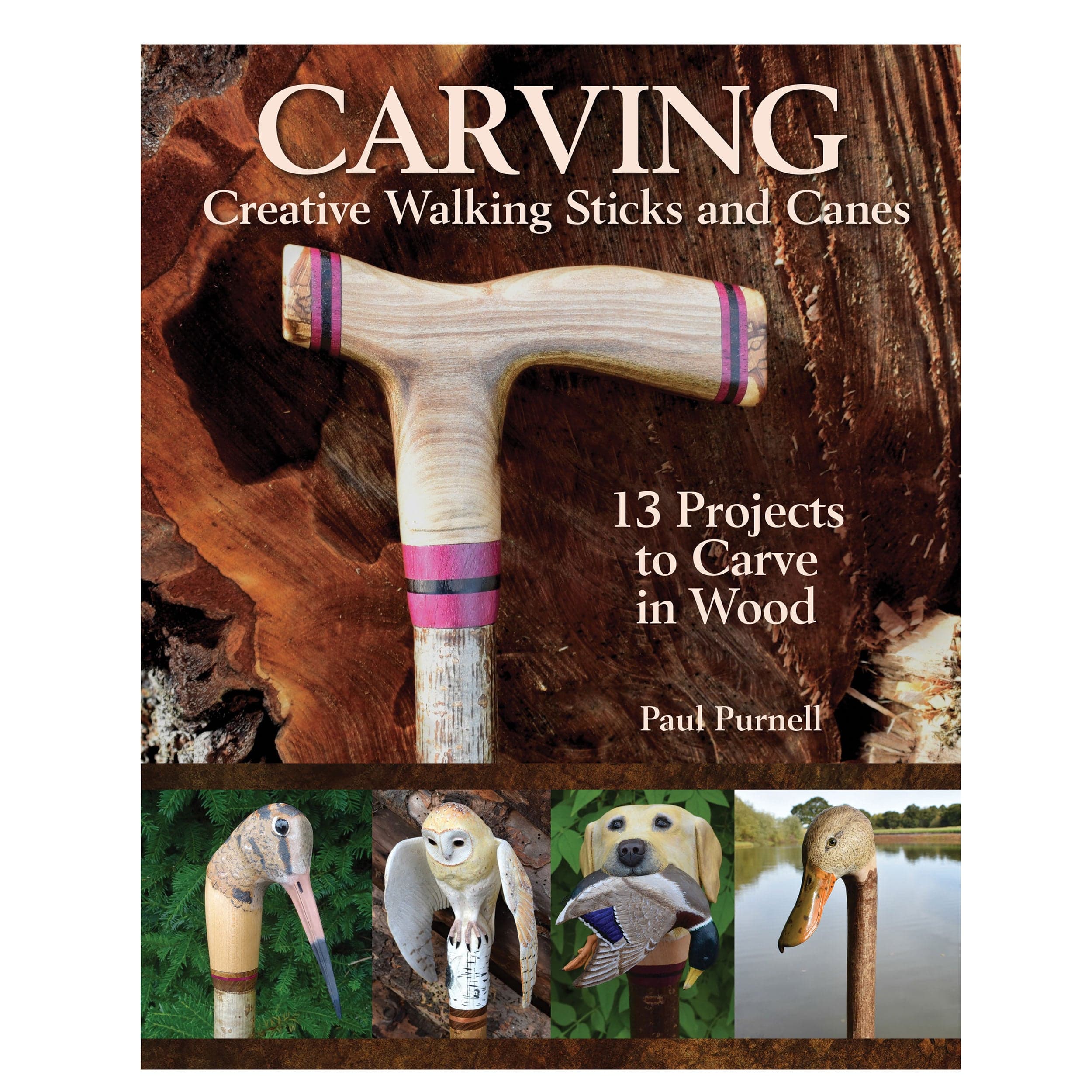 Carving Creative Walking Sticks and Canes - Image 1