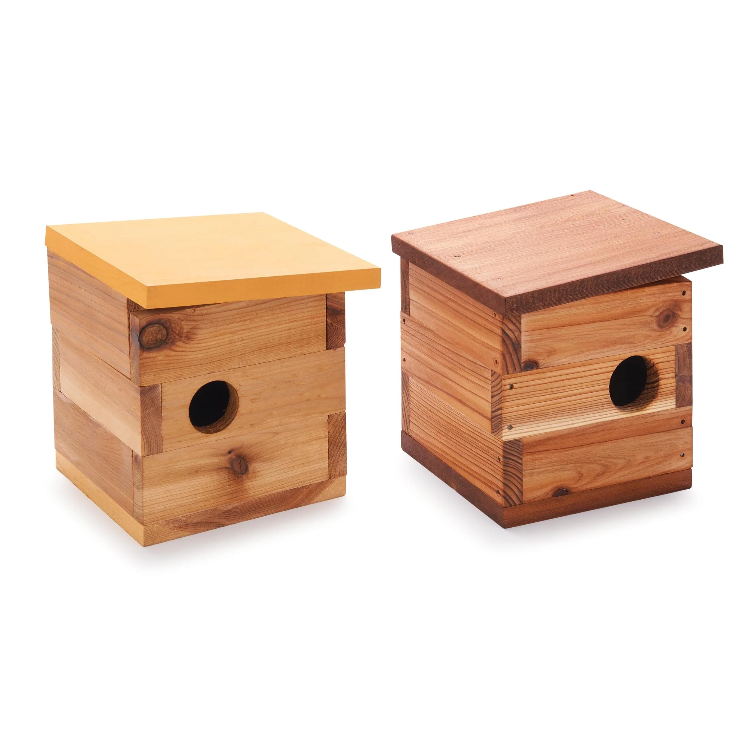 Mid-Century Modern Birdhouse Kit - Image 2