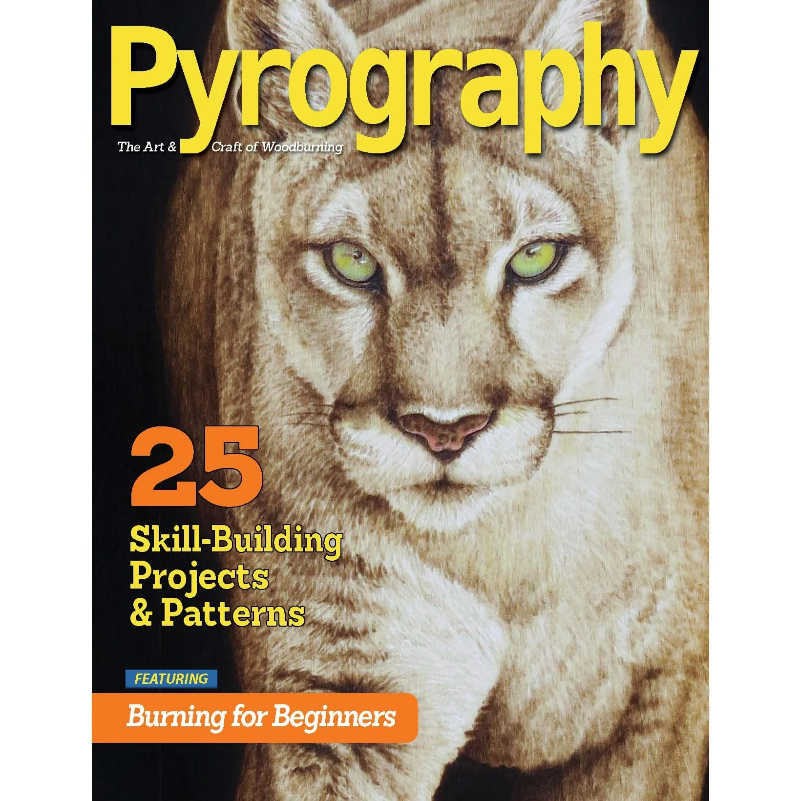 Pyrography Special Edition - Image 1