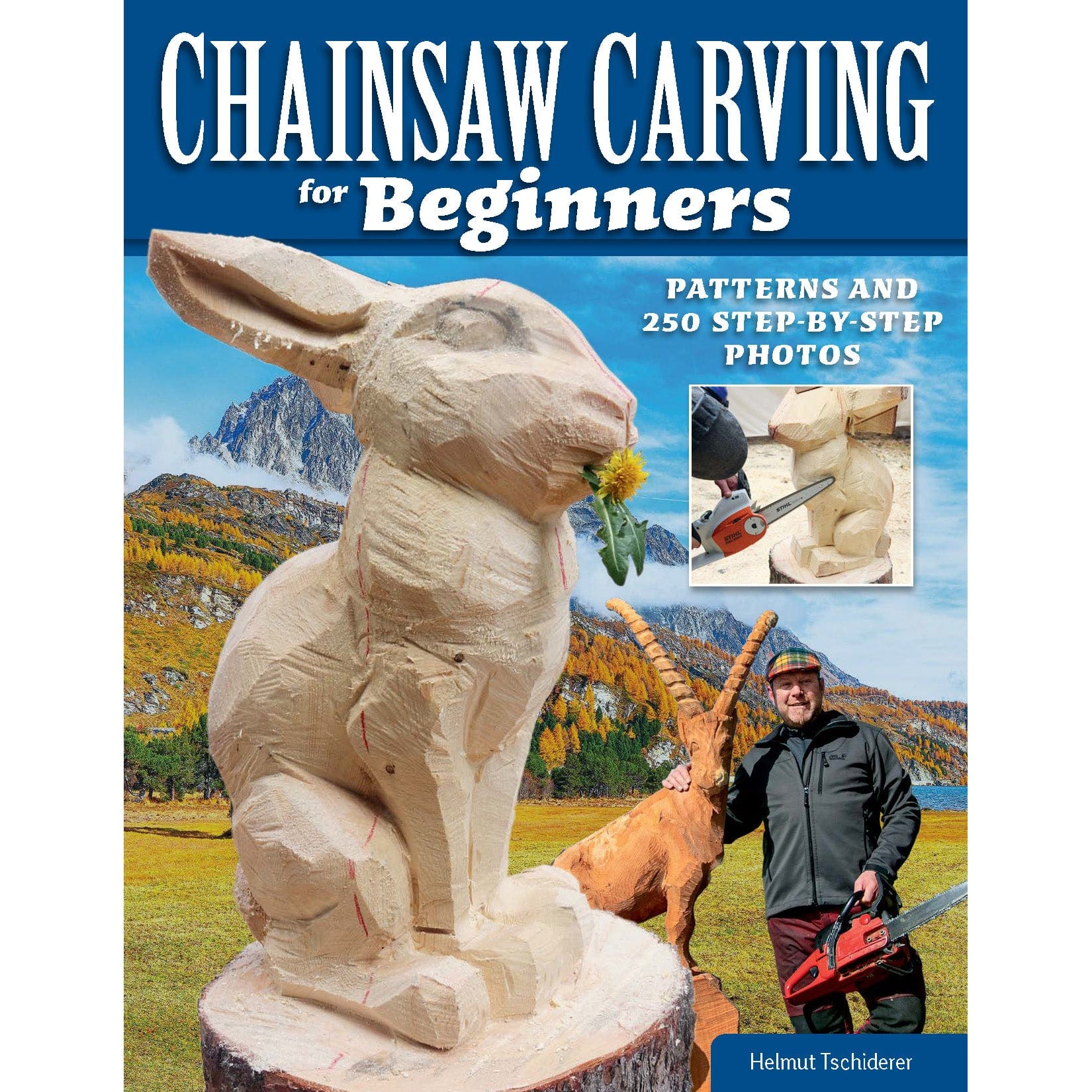Chainsaw Carving for Beginnners - Image 1