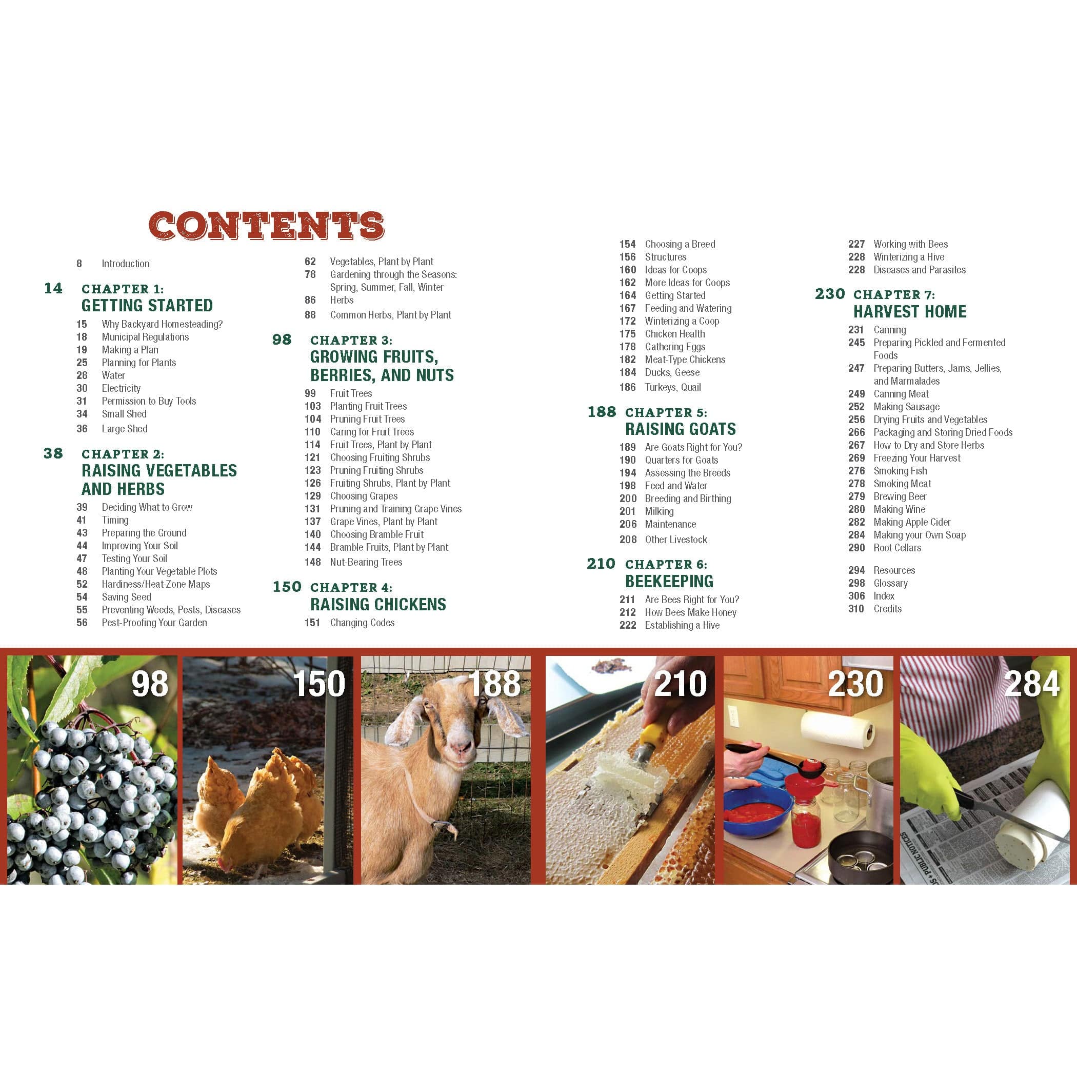 Backyard Homesteading, Second Revised Edition - Image 3