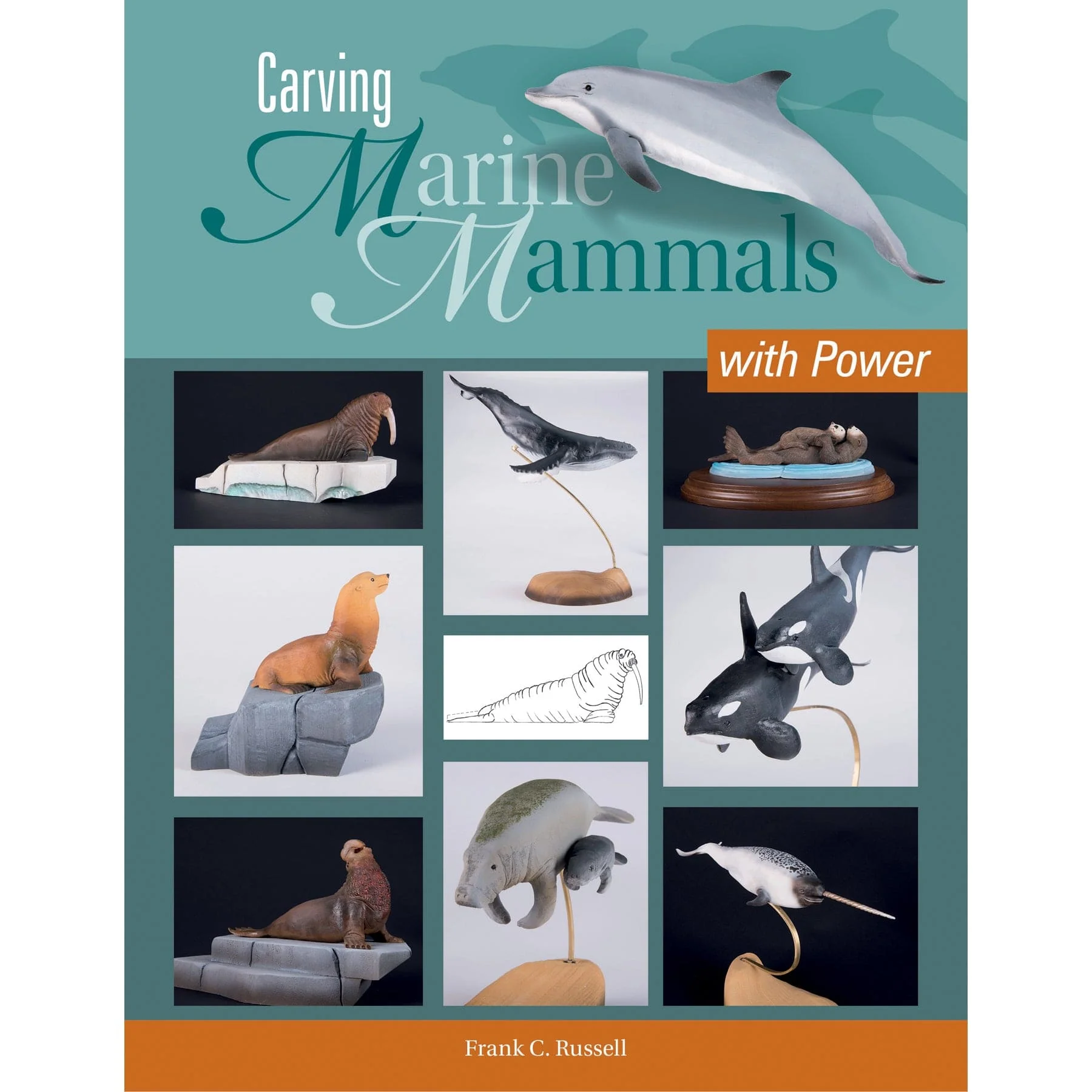 Carving Marine Mammals - Image 1