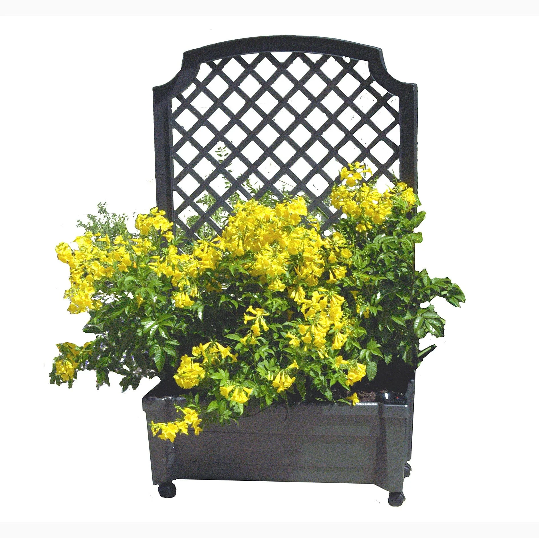Calypso Planter Trellis Anthracite Gray - Image 2