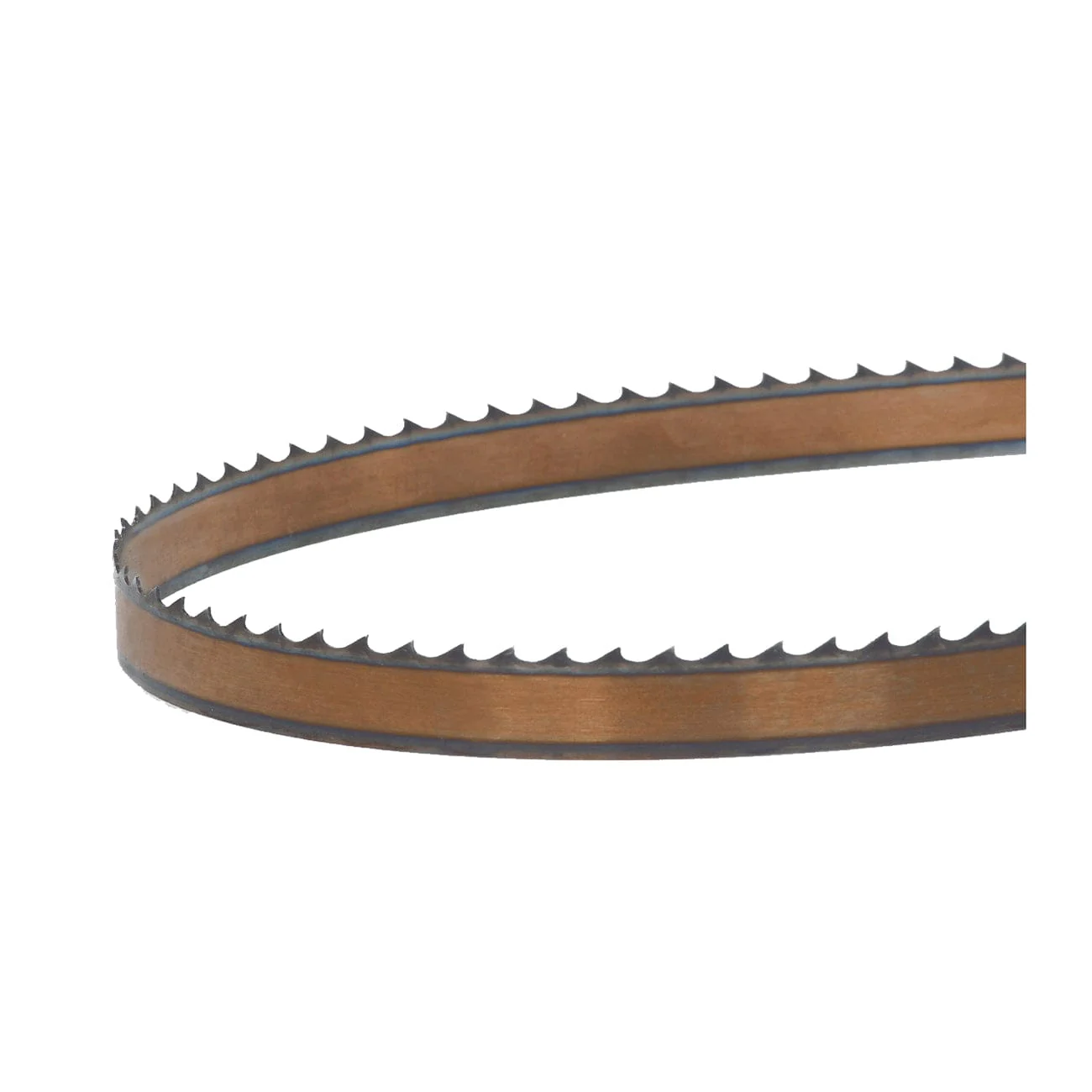Bandsaw Blade - 99-3/4" x 3/4" x .025" x 3 TPI - Thin Positive Claw - Image 1