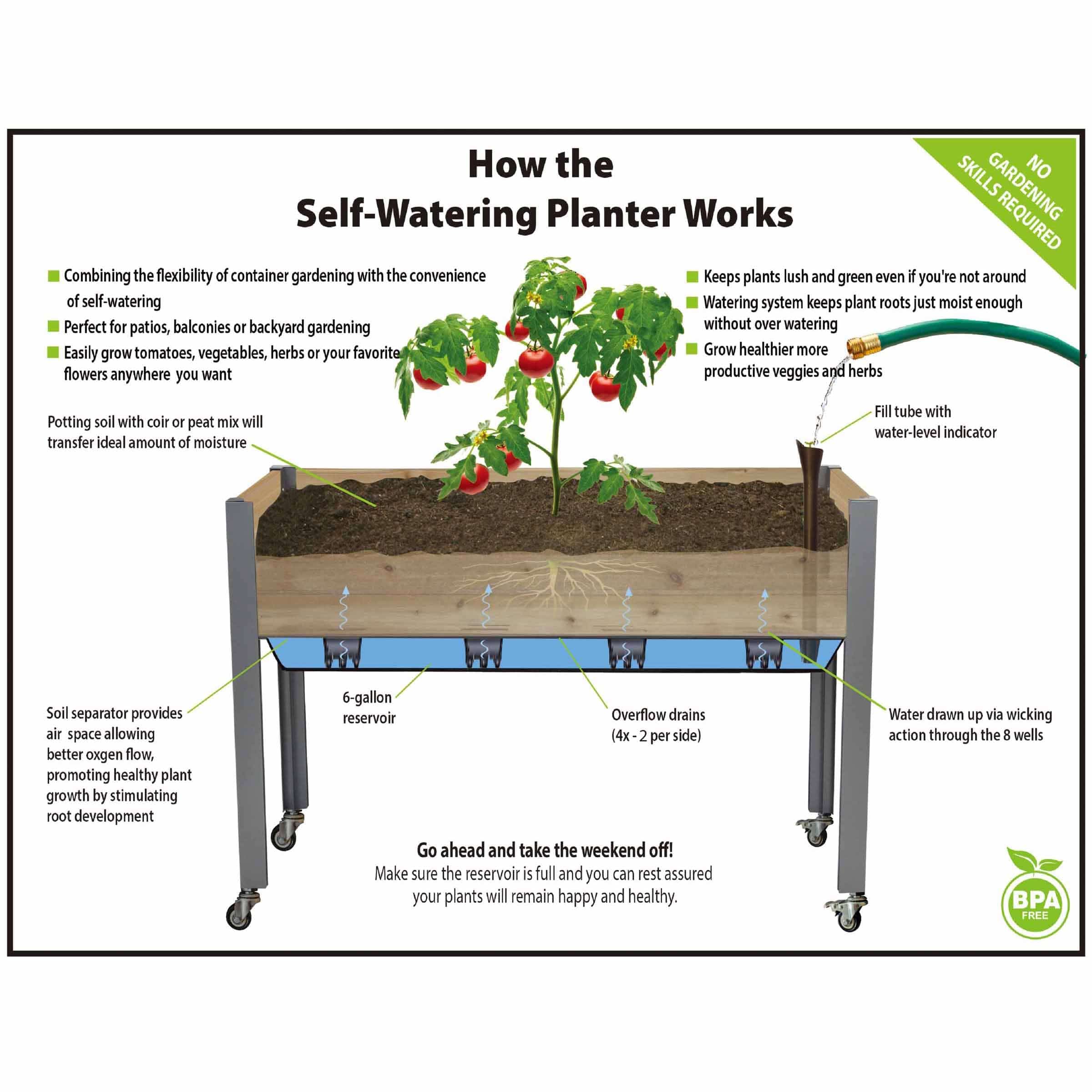 Self-Watering Elevated Planter 21" x 47" x 32"H Cedar - Image 2