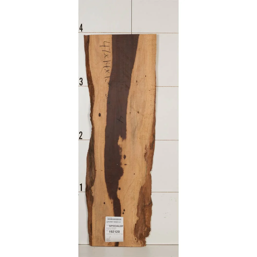 Curly Katalox Wood Slab - Image 1