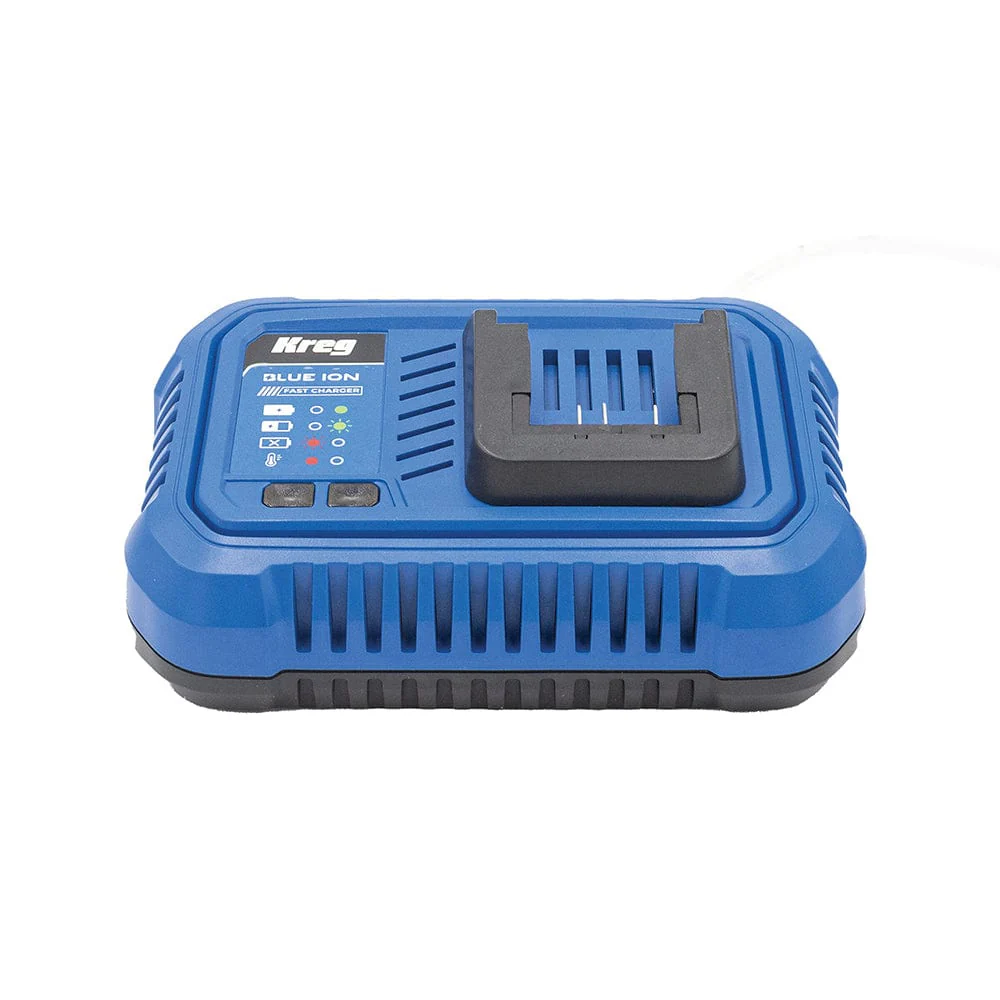 Blue Ion Fast Charger - 20V - Image 2