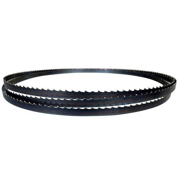AccuRight Bandsaw Blade – 153″ x 3/16″ x 4 TPI