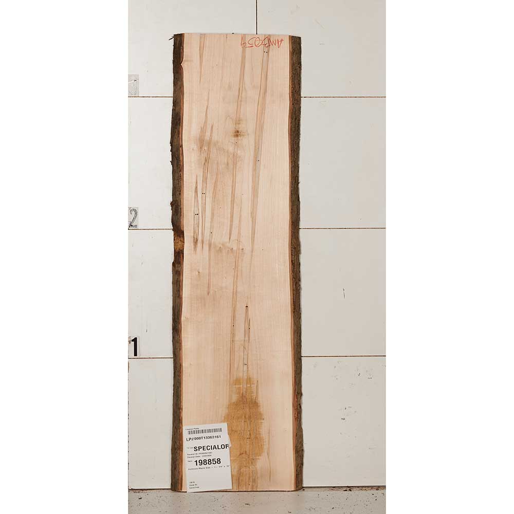 Ambrosia Maple Slab