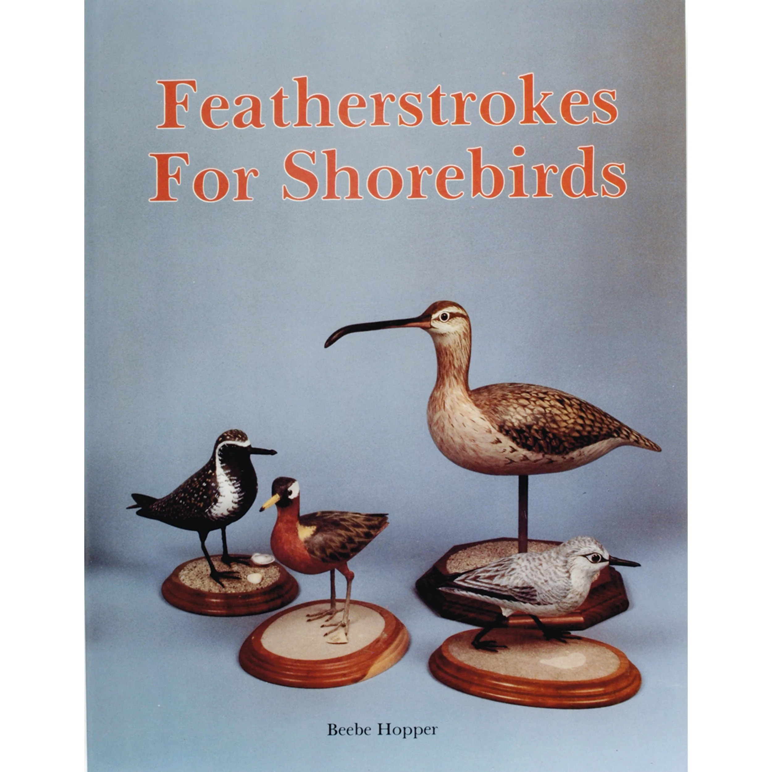 Featherstrokes for Shorebirds - Image 1