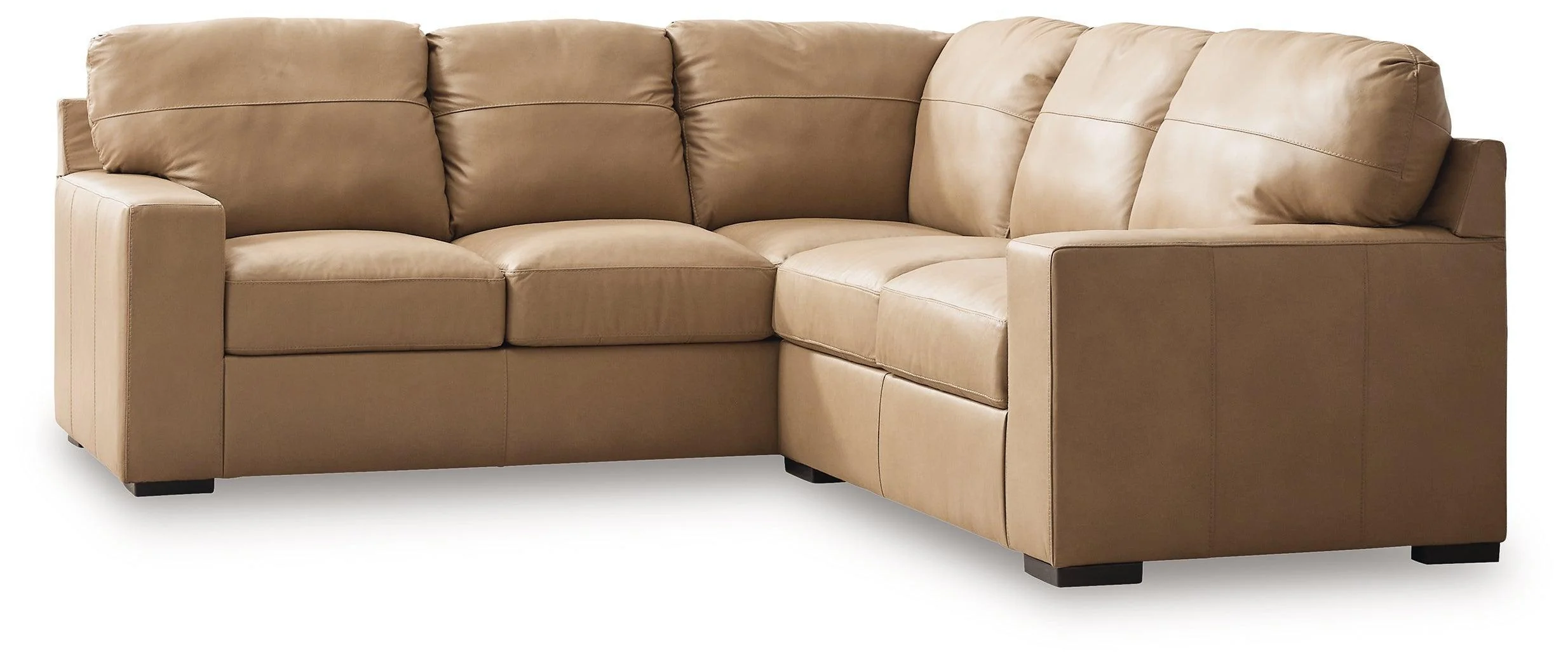 Bandon Toffee Leather 2-Piece Sectional - Image 2