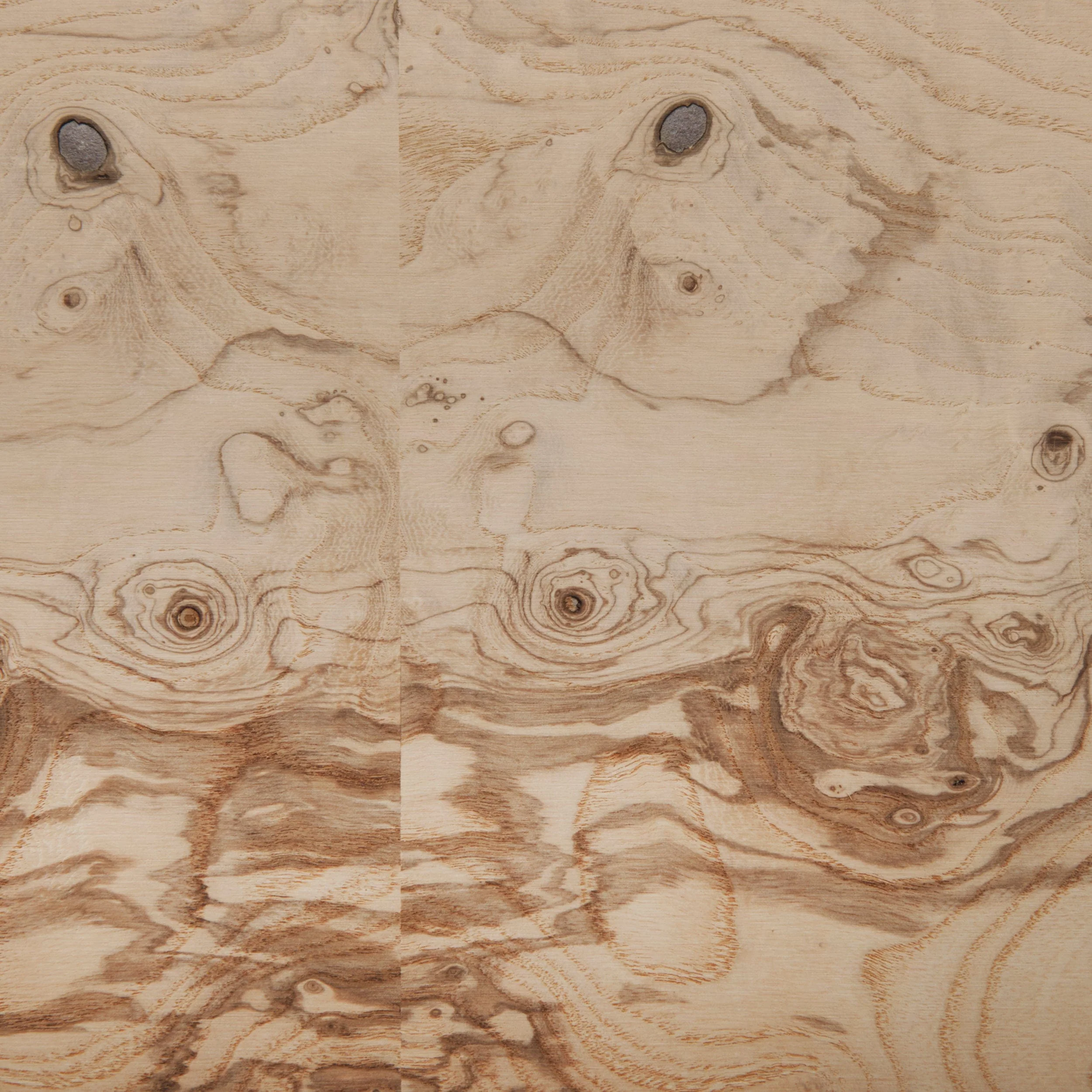 Burl Wood Veneer Sheet – 4′ x 8′