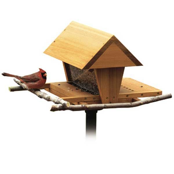 Woodworking Project Paper Plan to Build Snack Shop Bird Feeder - Image 1