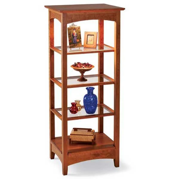 Woodworking Project Paper Plan to Build Lighted Showcase - Image 1