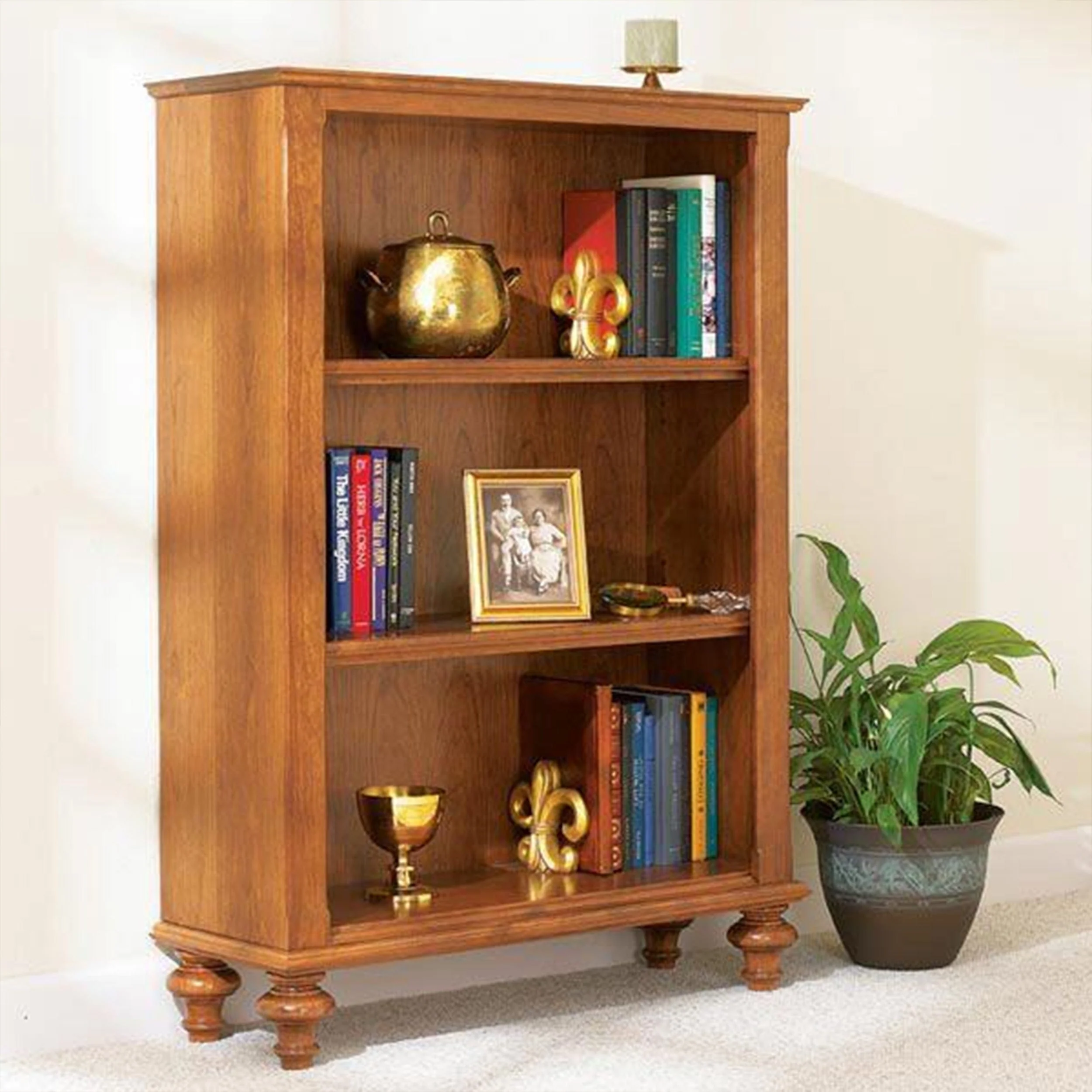 Downloadable Woodworking Project Plan to Build Build-in-a-Weekend Bookcase - Image 1