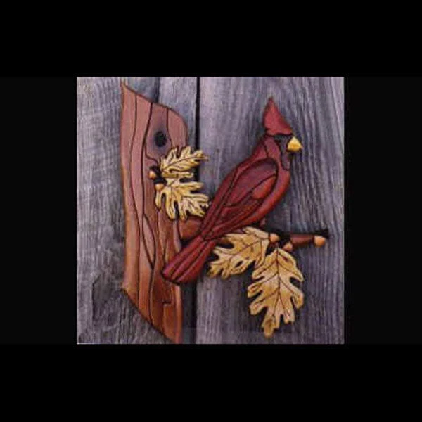 Cardinal Intarsia Pattern
