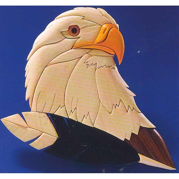 Eagles Gaze Intarsia Pattern - Image 1