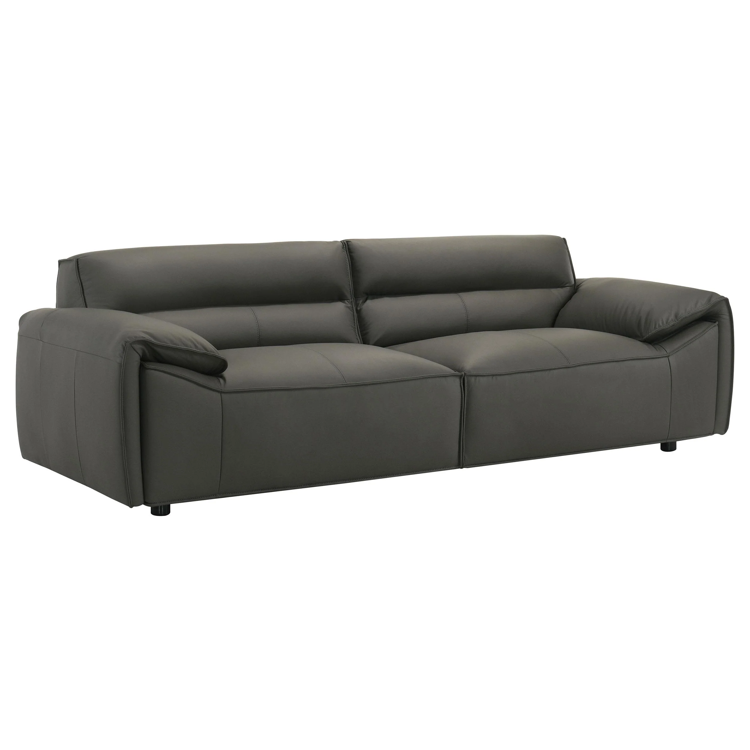 Buxton 2-piece Leather Upholstered Sofa Set Graphite - Image 2