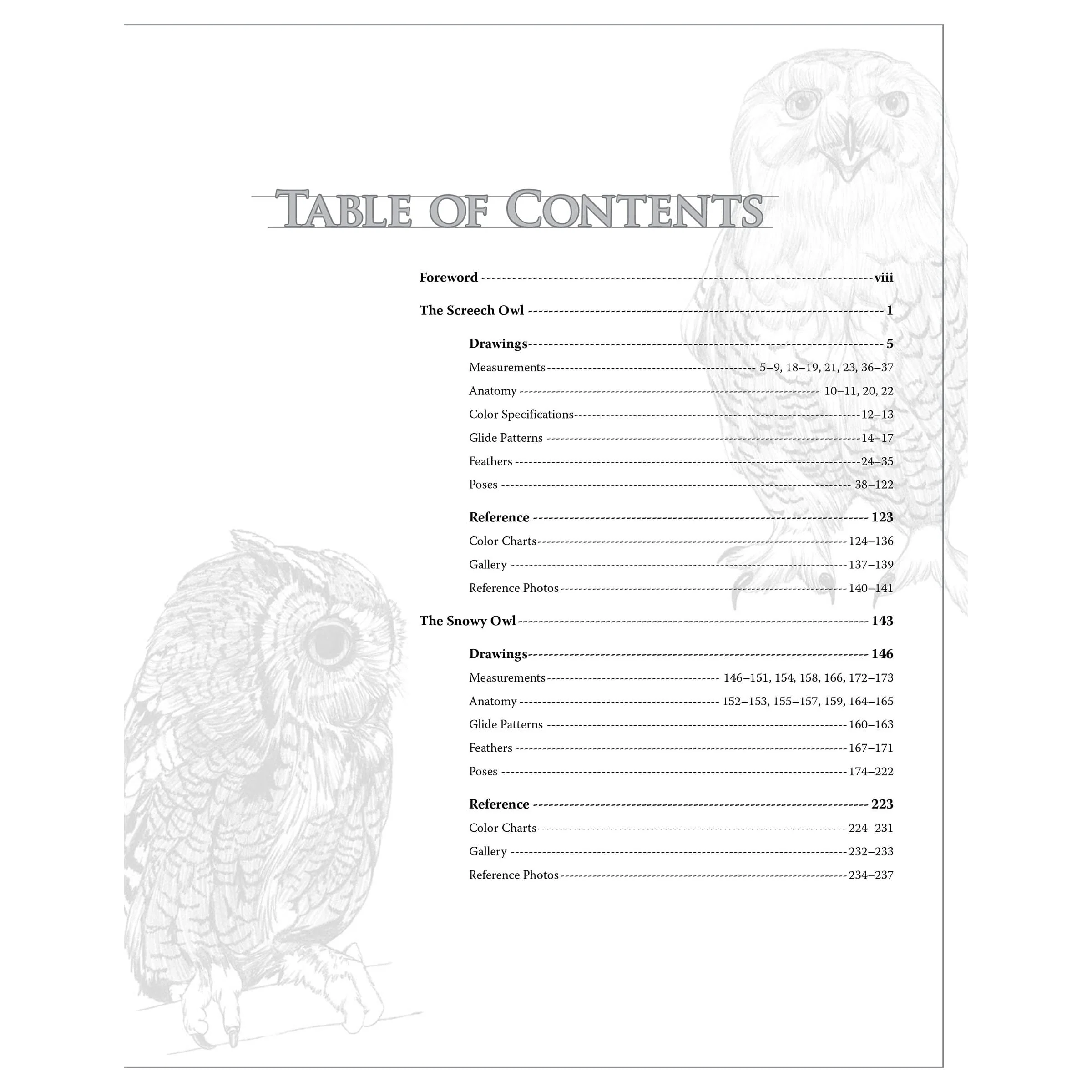 Illustrated Owl - Screech & Snowy: the Ultimate Reference for Bird Lovers, Woodcarvers, and Artists - Image 3