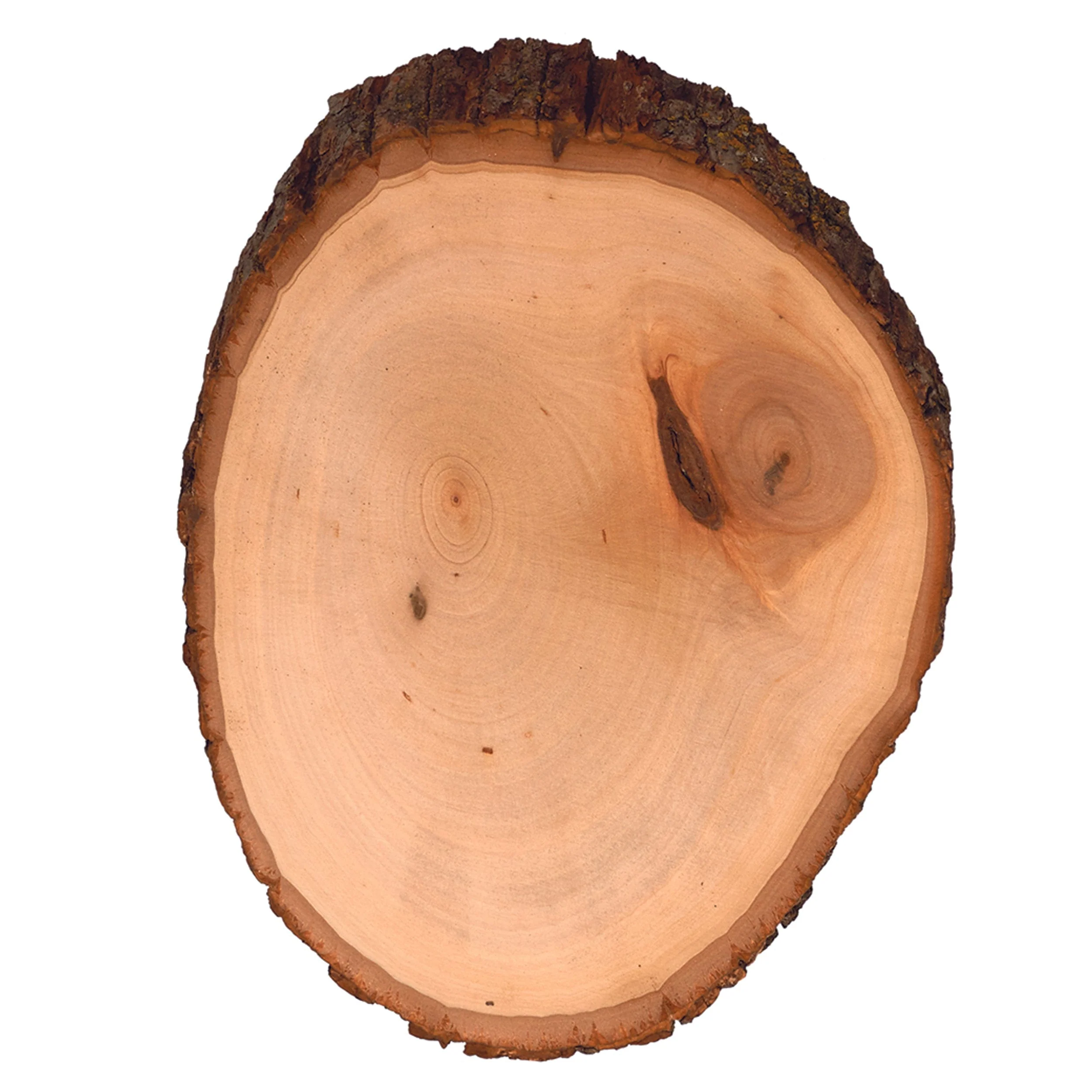Basswood Country Rounds for Wood Burning, Hot Stamping & Carving – Medium